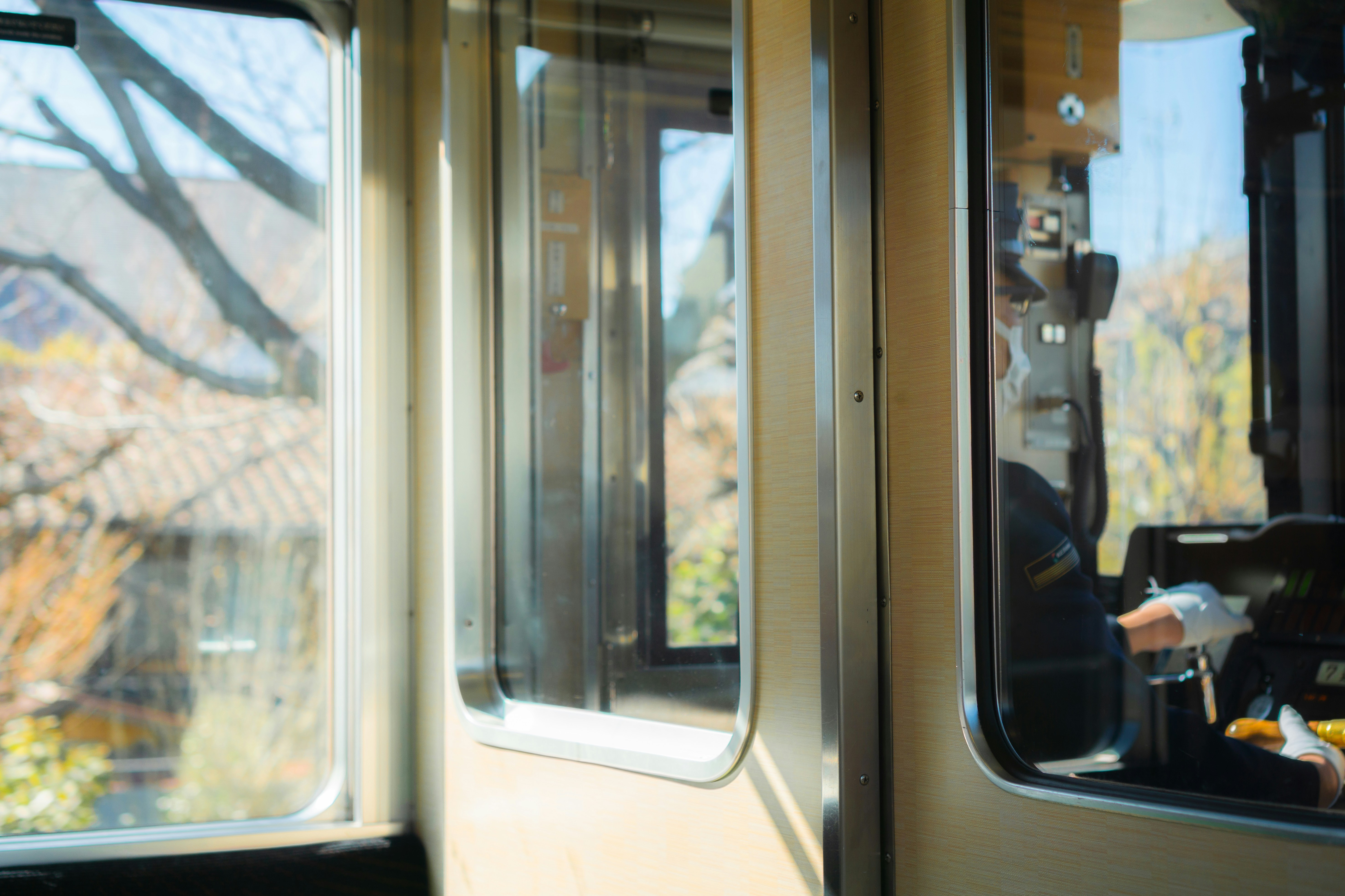 View from inside a train with autumn trees outside