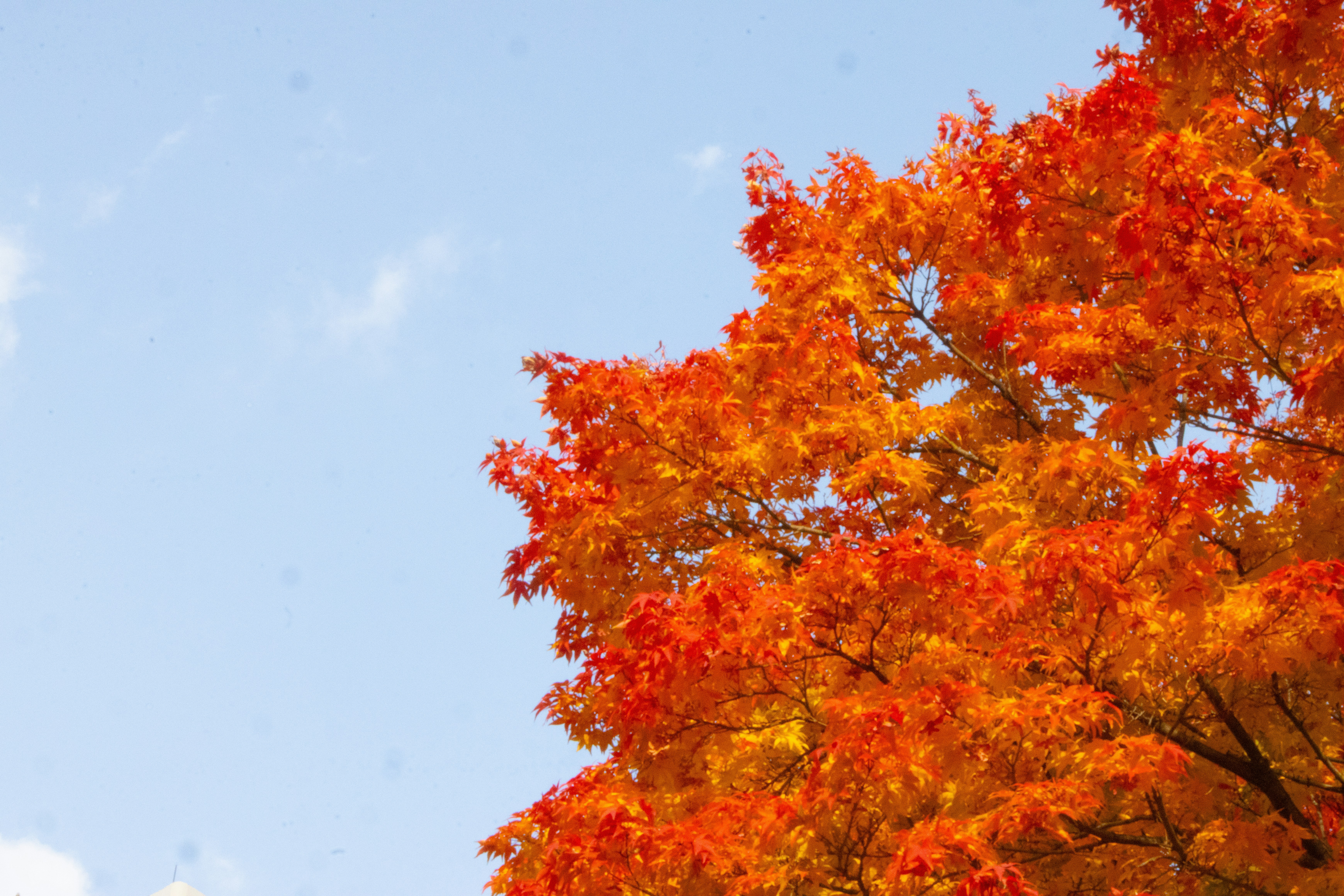 Photo by seoul_lover_lily