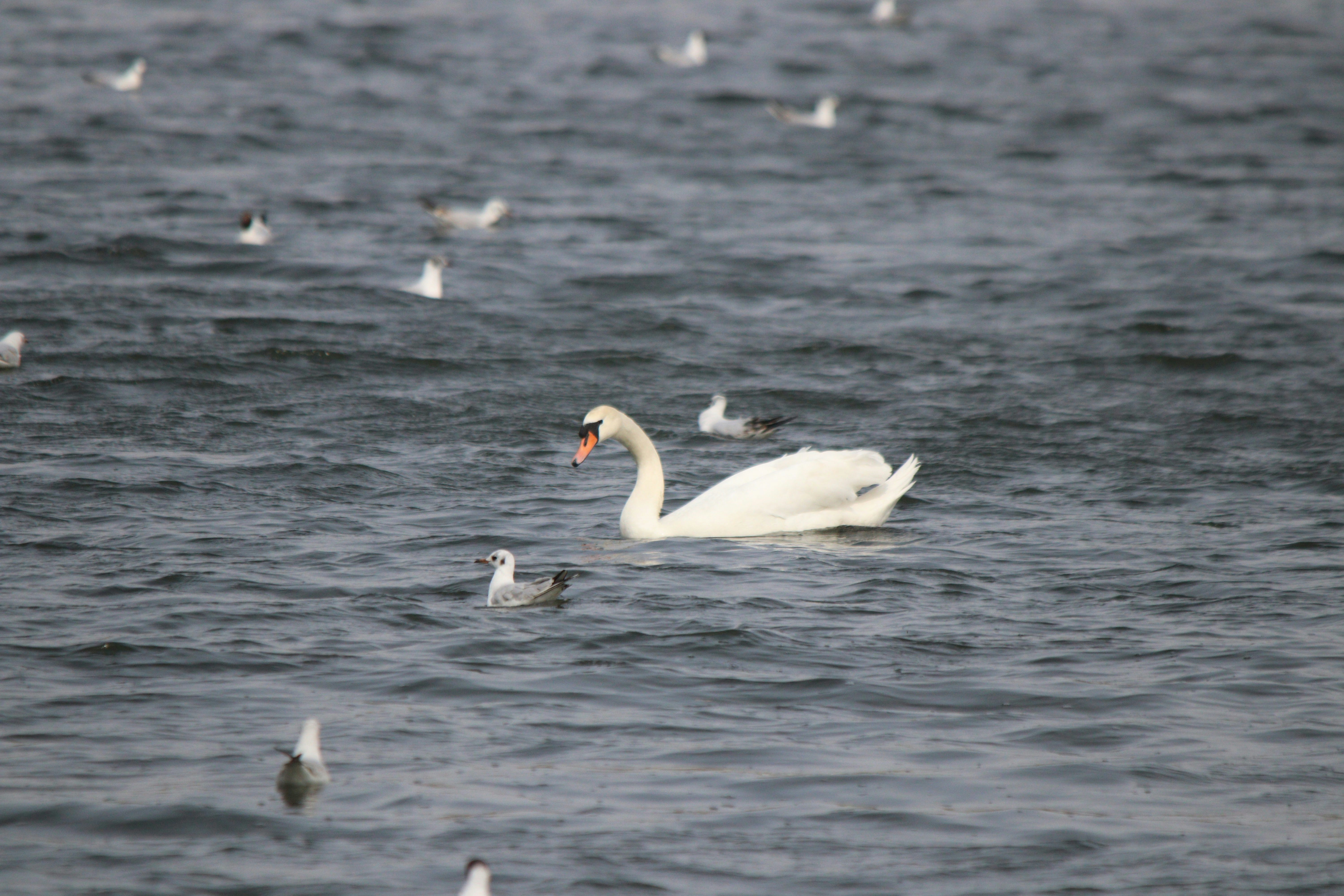 Photo by fotografialuivlad