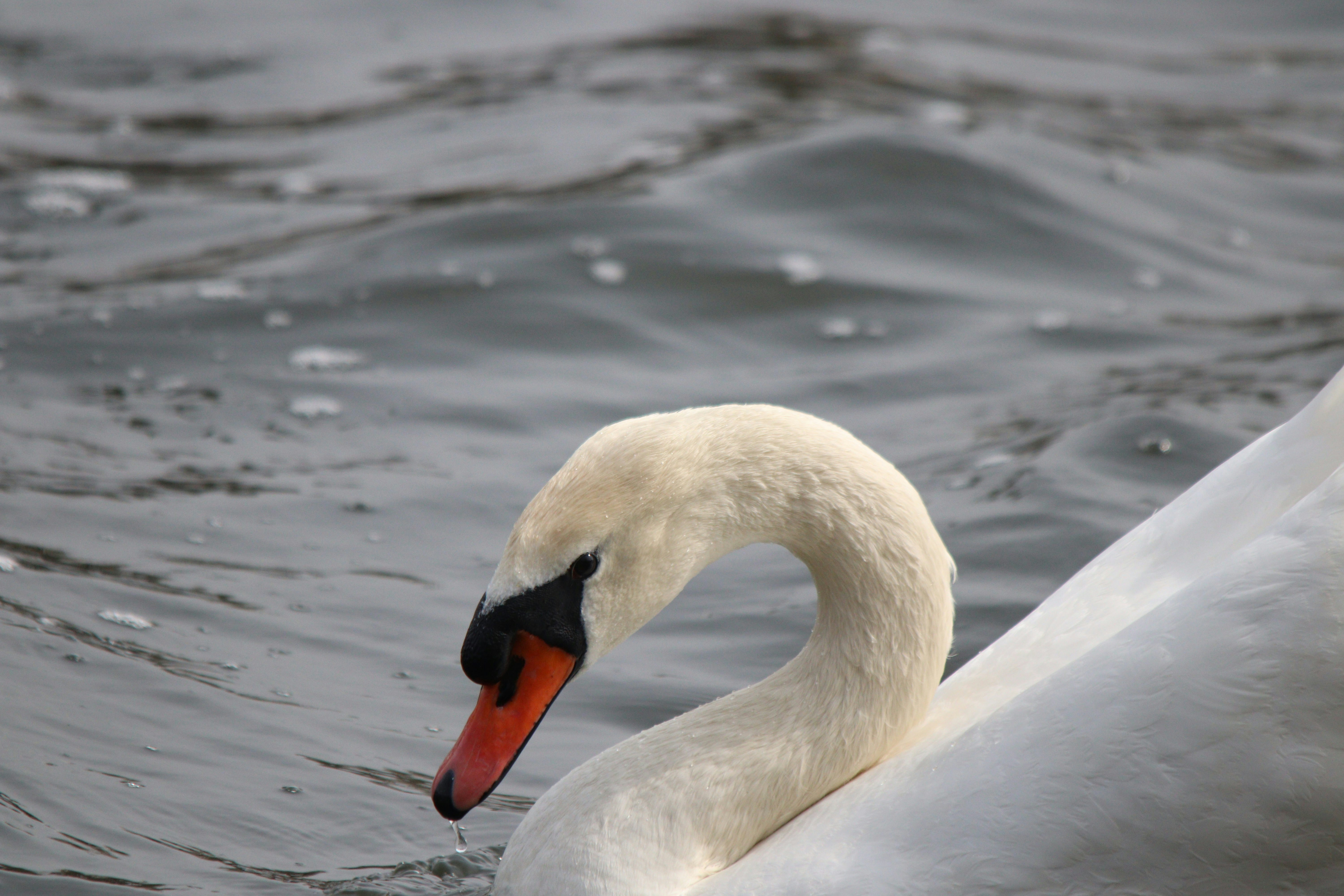 Photo by fotografialuivlad