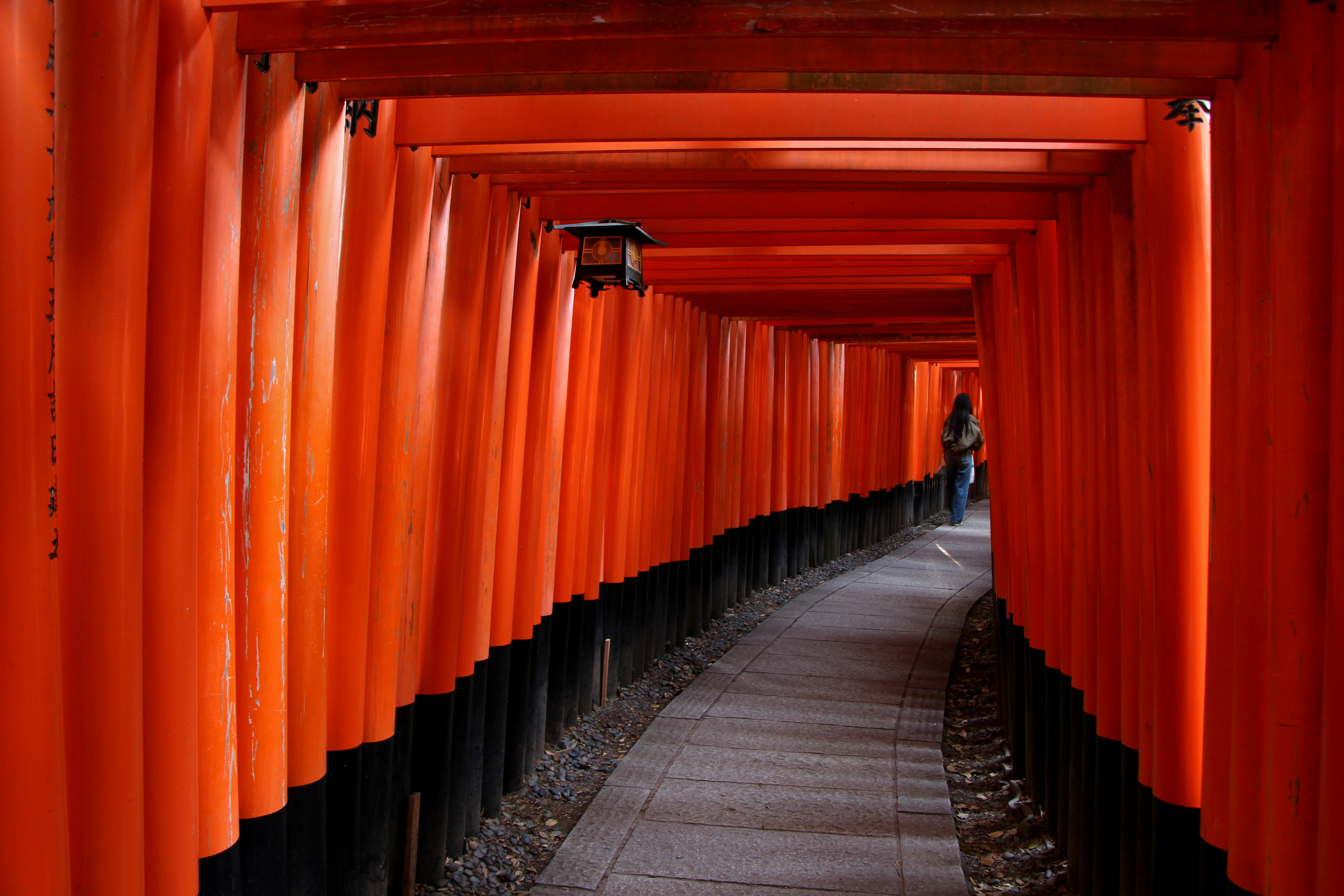 Photo by eleniafiontzi