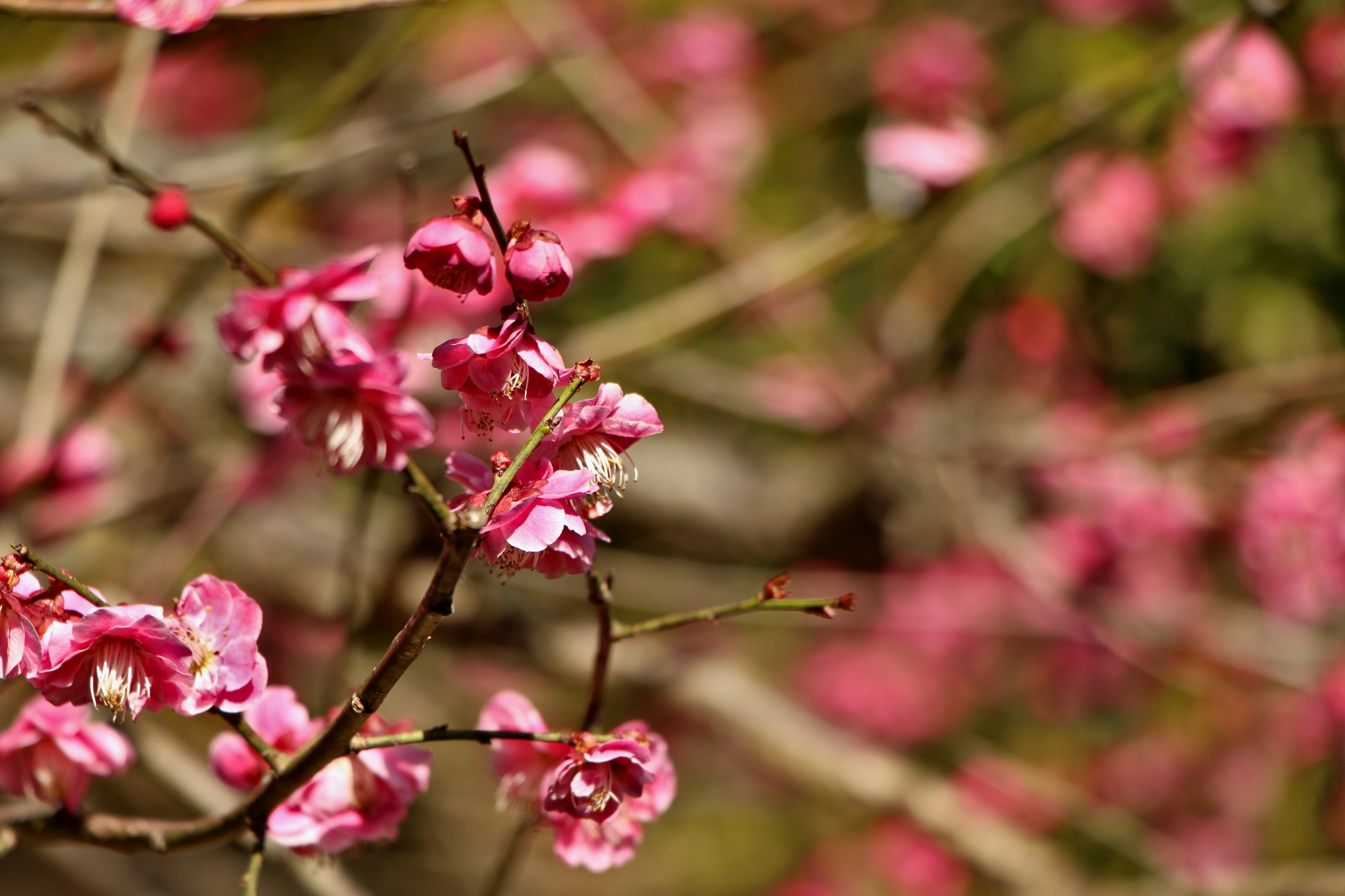 Photo by eleniafiontzi