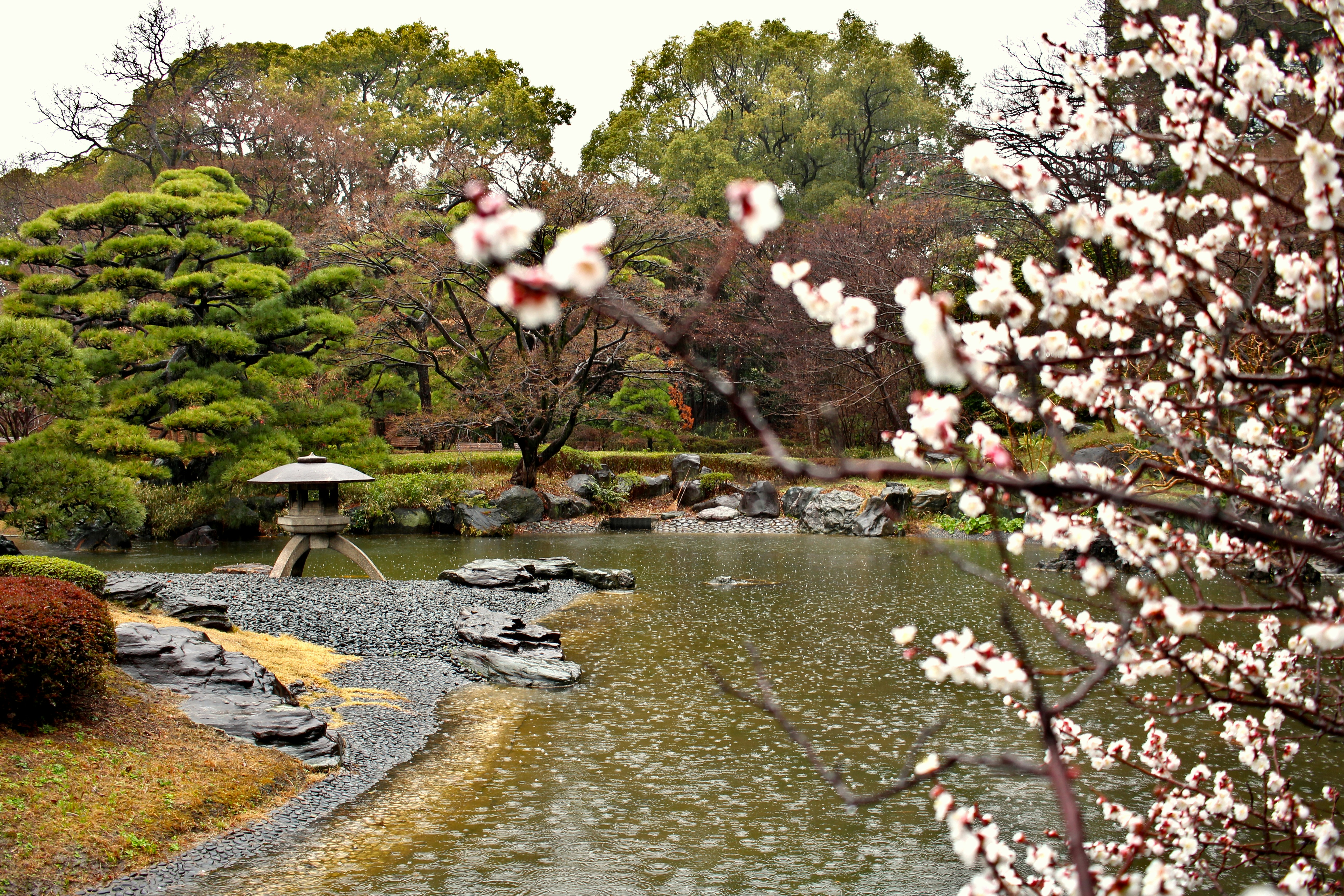 Photo by eleniafiontzi