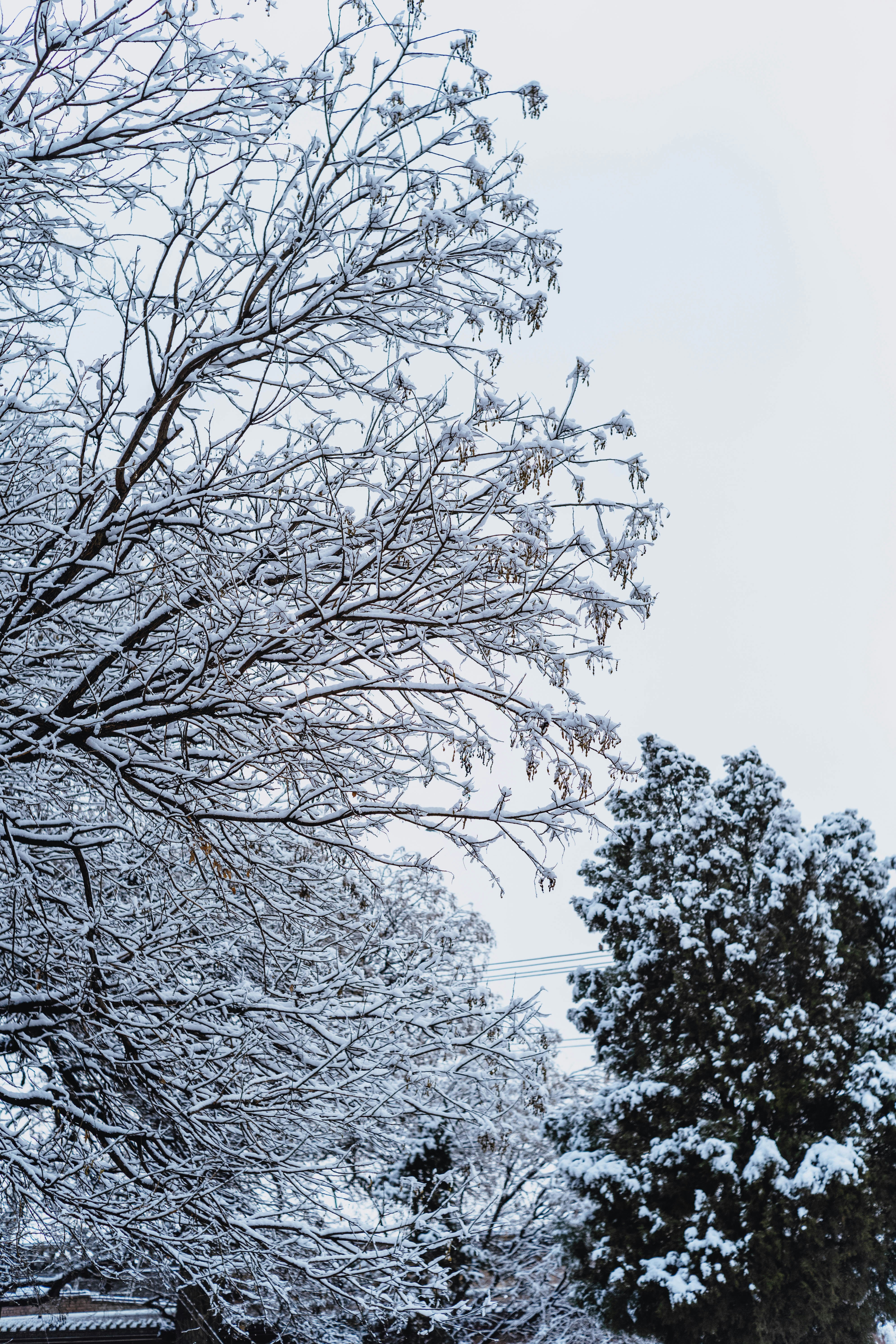 Photo by tommaomaoer