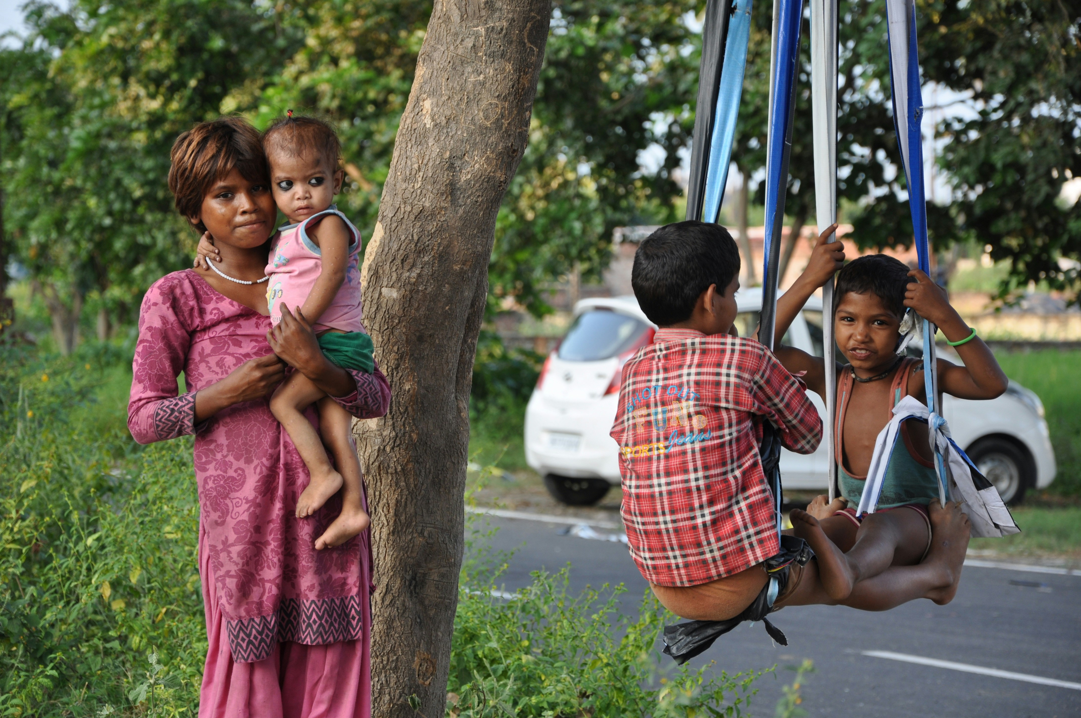 Children playing on a swing next to a tree