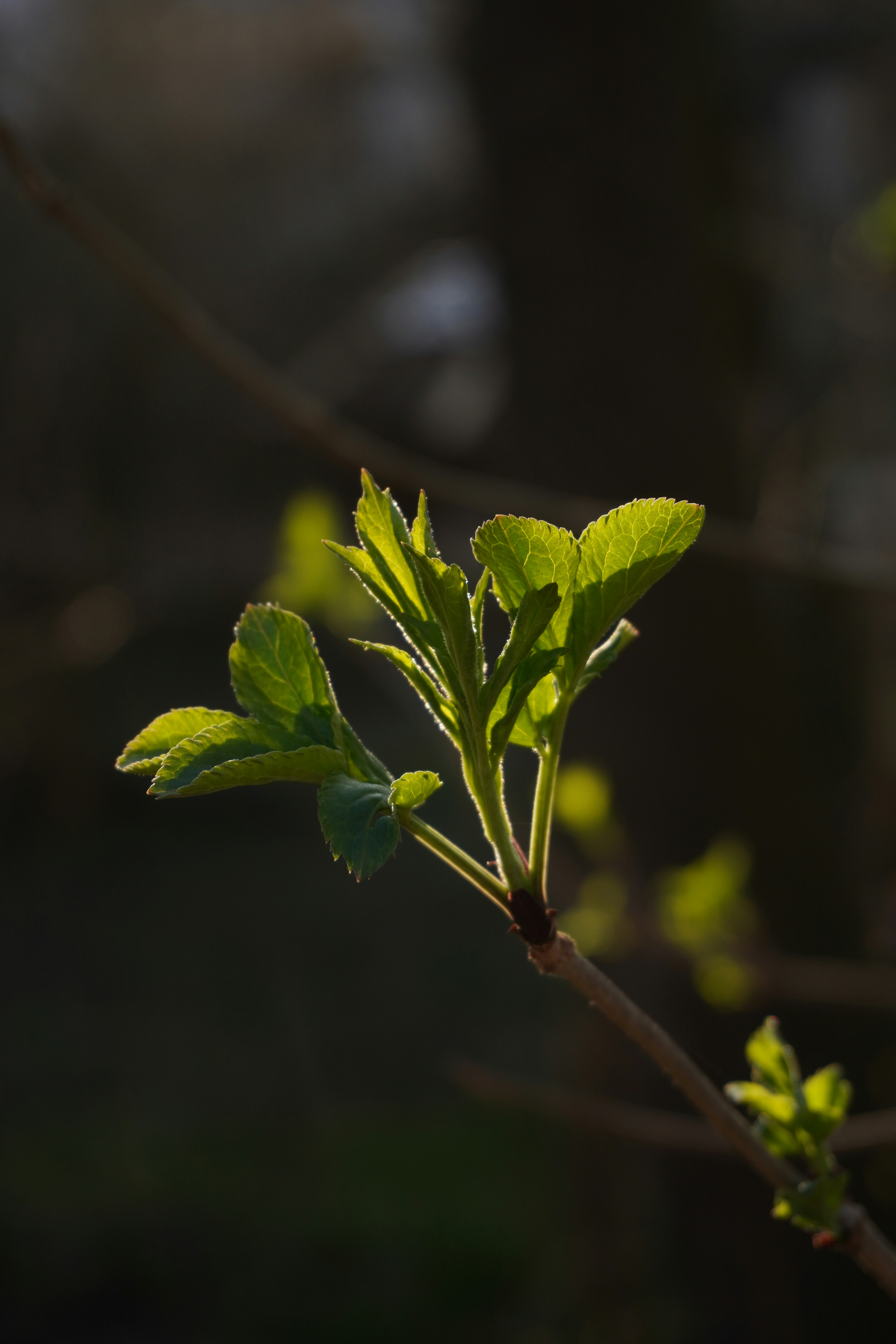 Photo by aliona_zahrai