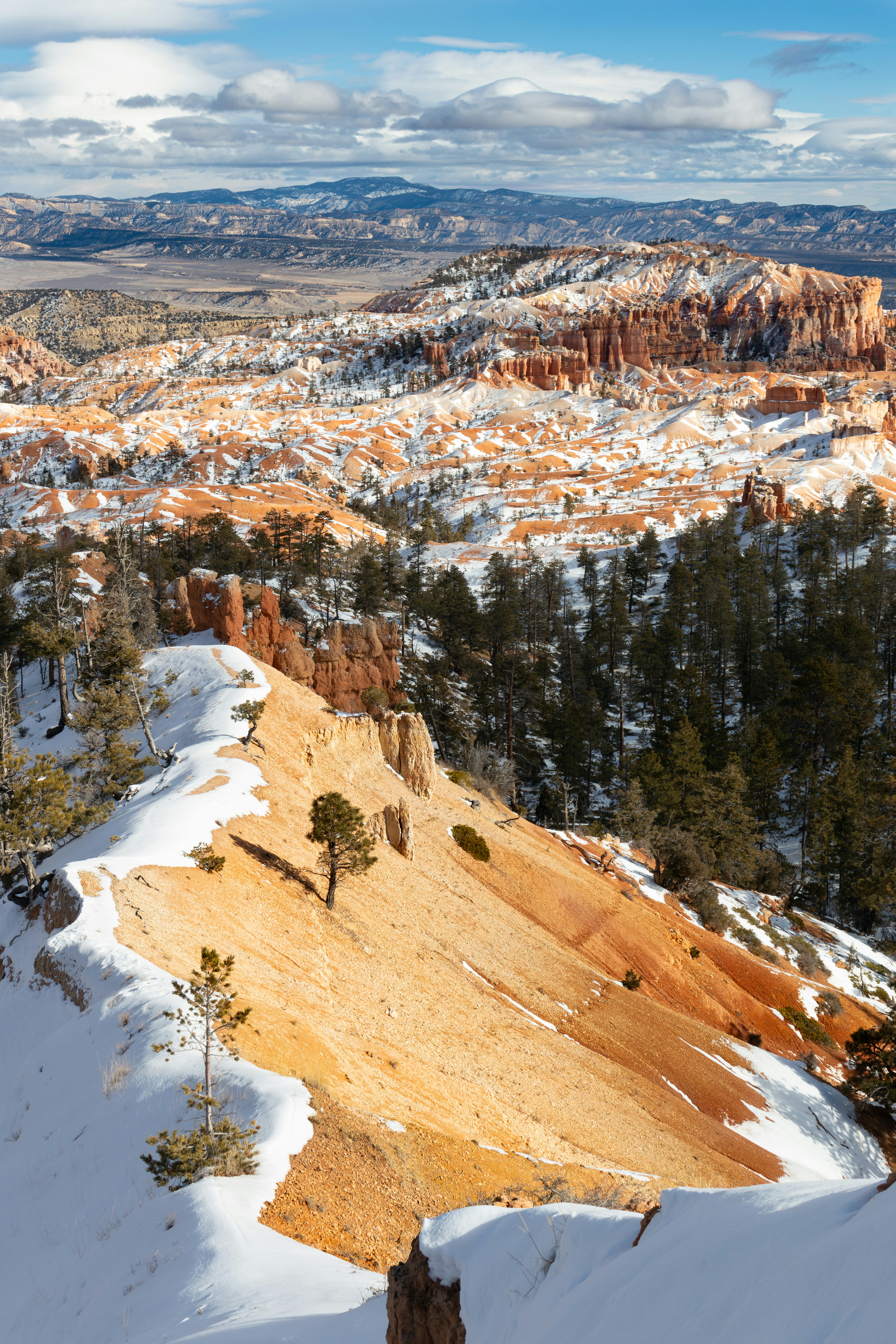 Snow-dusted orange rock formations with pine trees