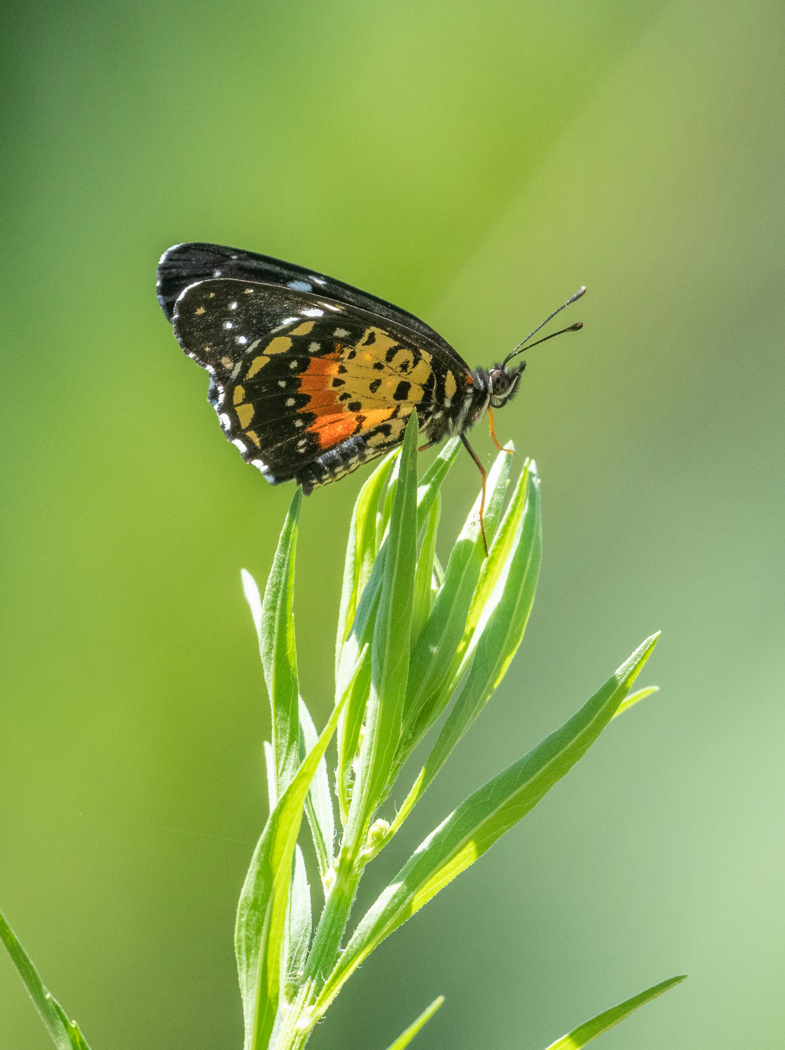 Photo by brewbottle