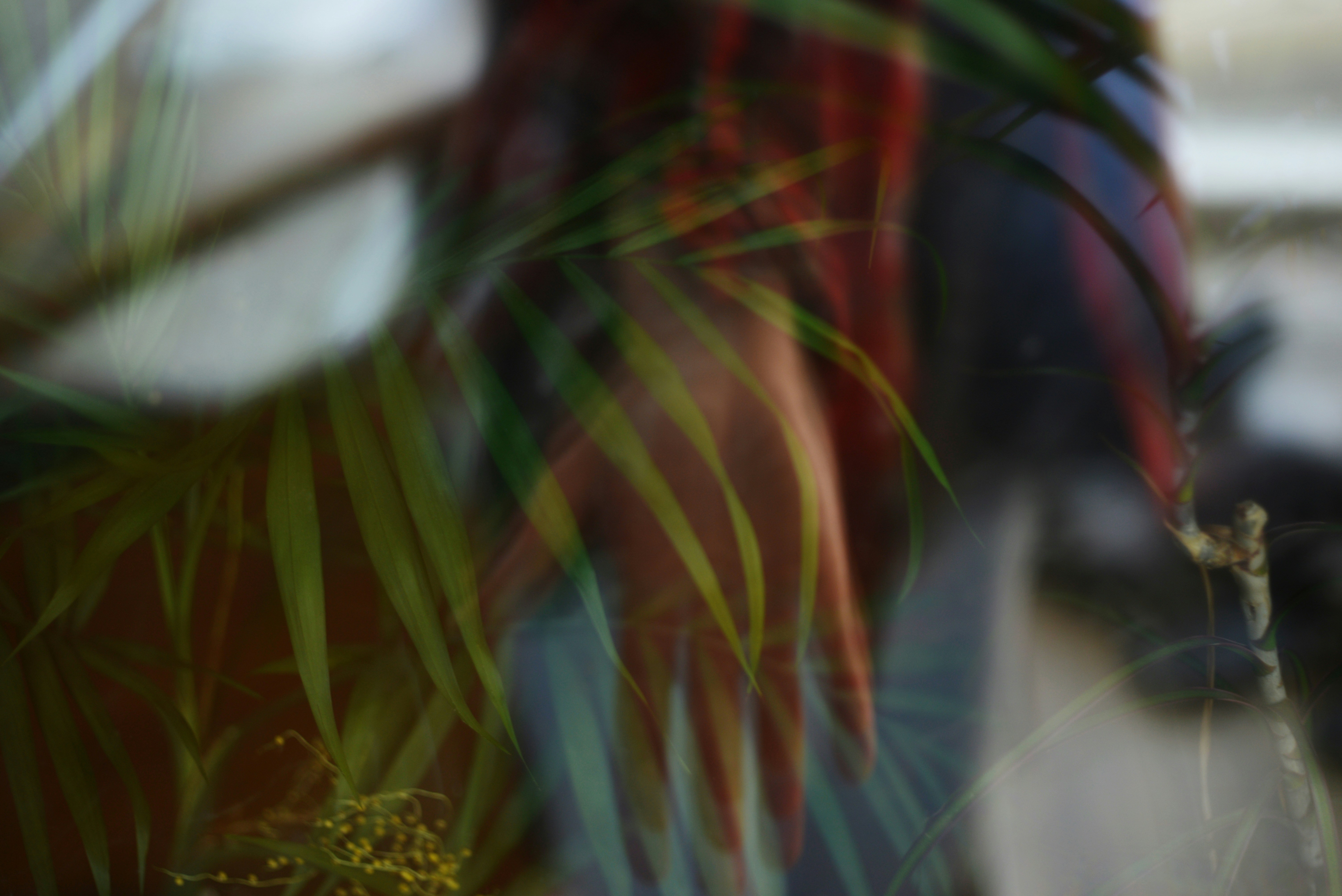 Photo by cherstve_pechivo