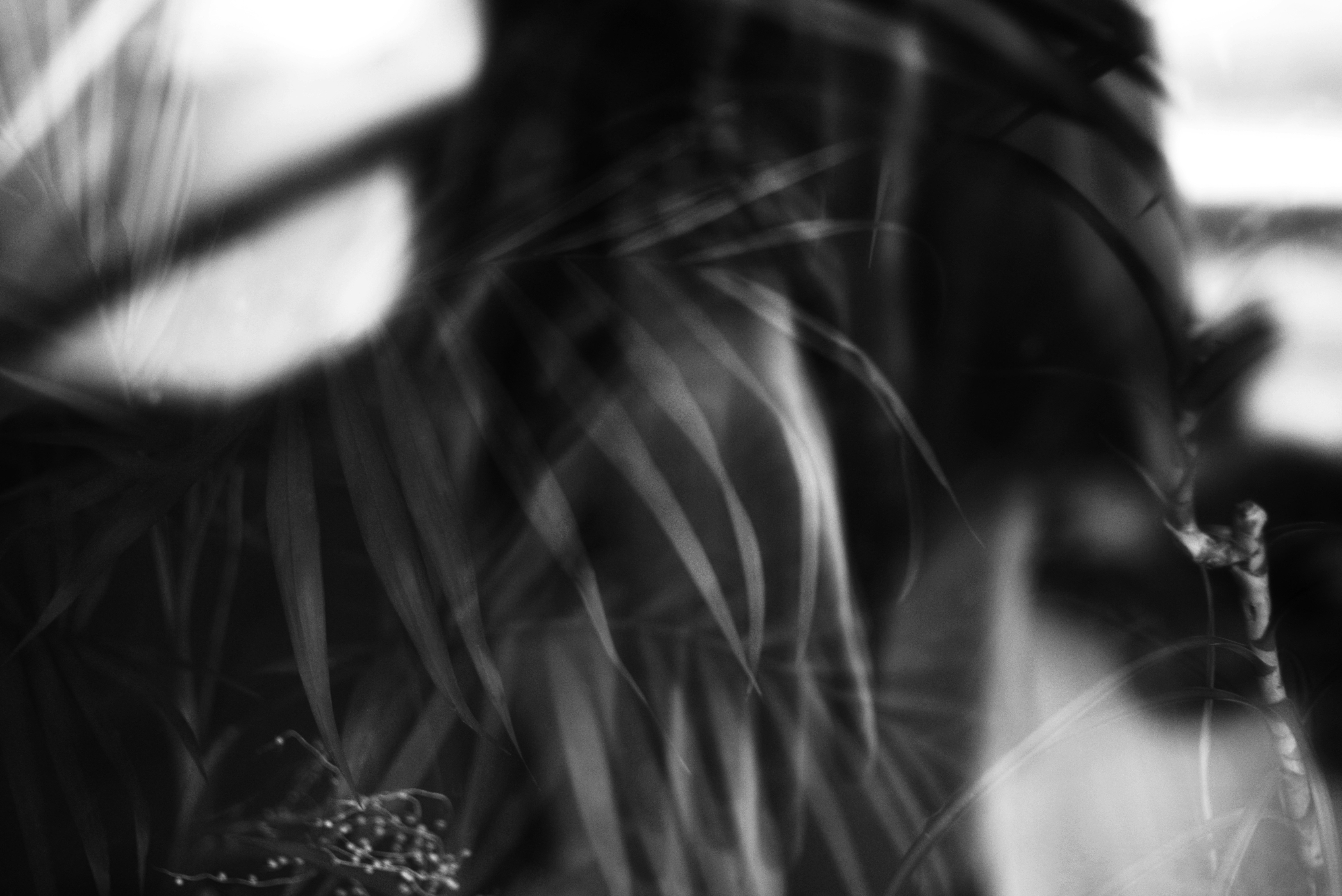 Photo by cherstve_pechivo