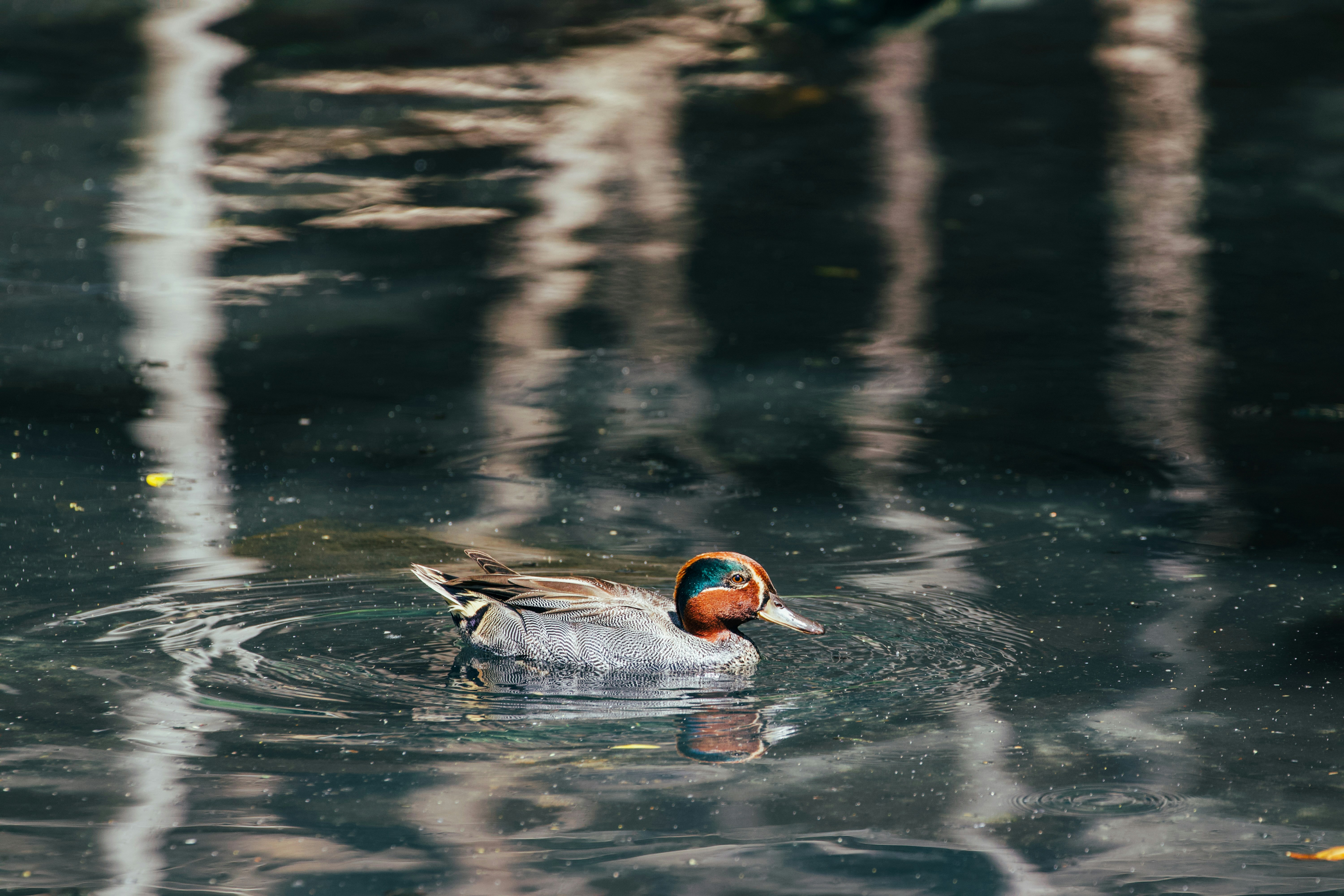 Photo by jakub_neskora