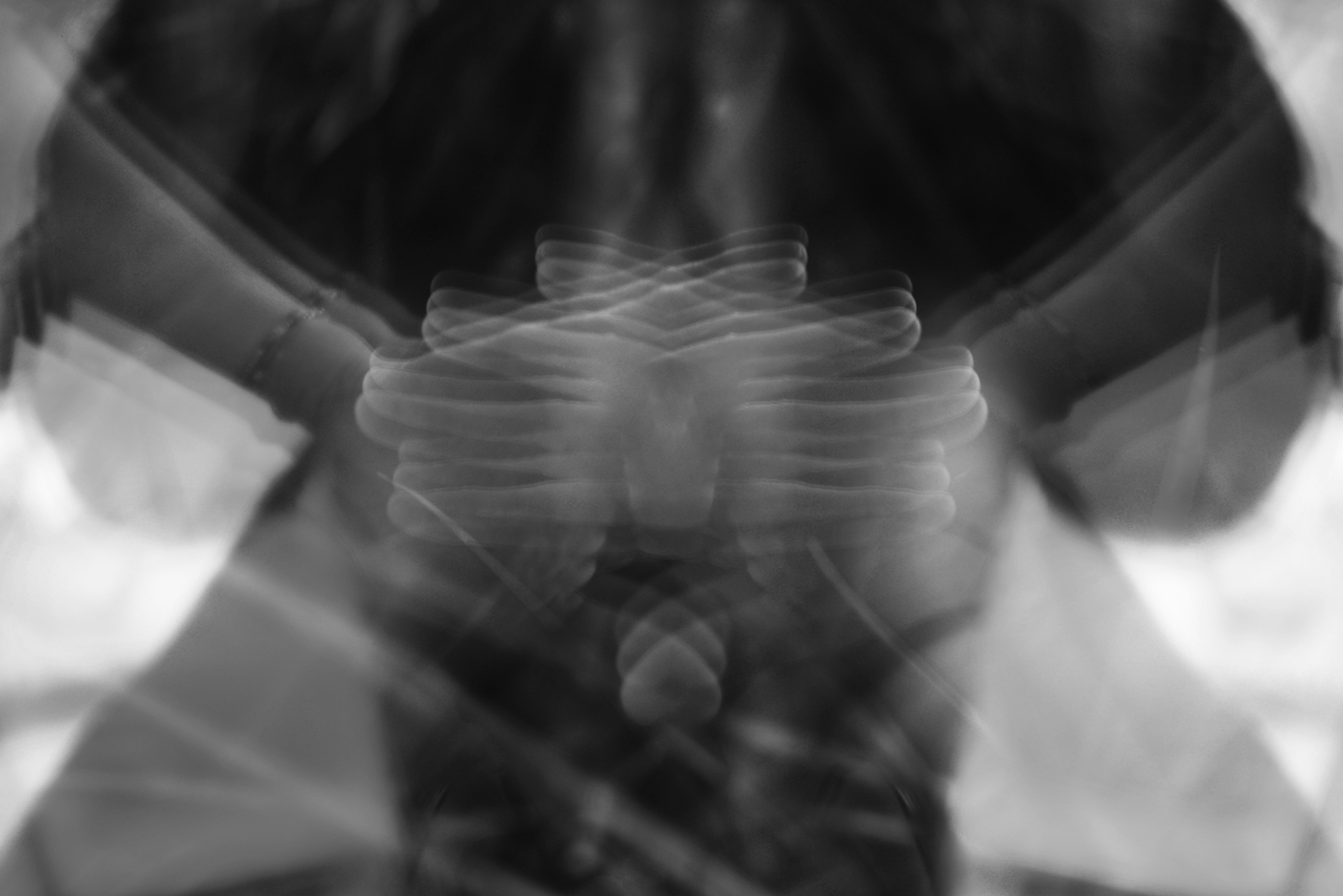 human rib cage anatomy, wallpaper, Tulang Rusuk: Anatomi, Fungsi, dan Cara Menjaga Kesehatannya 6