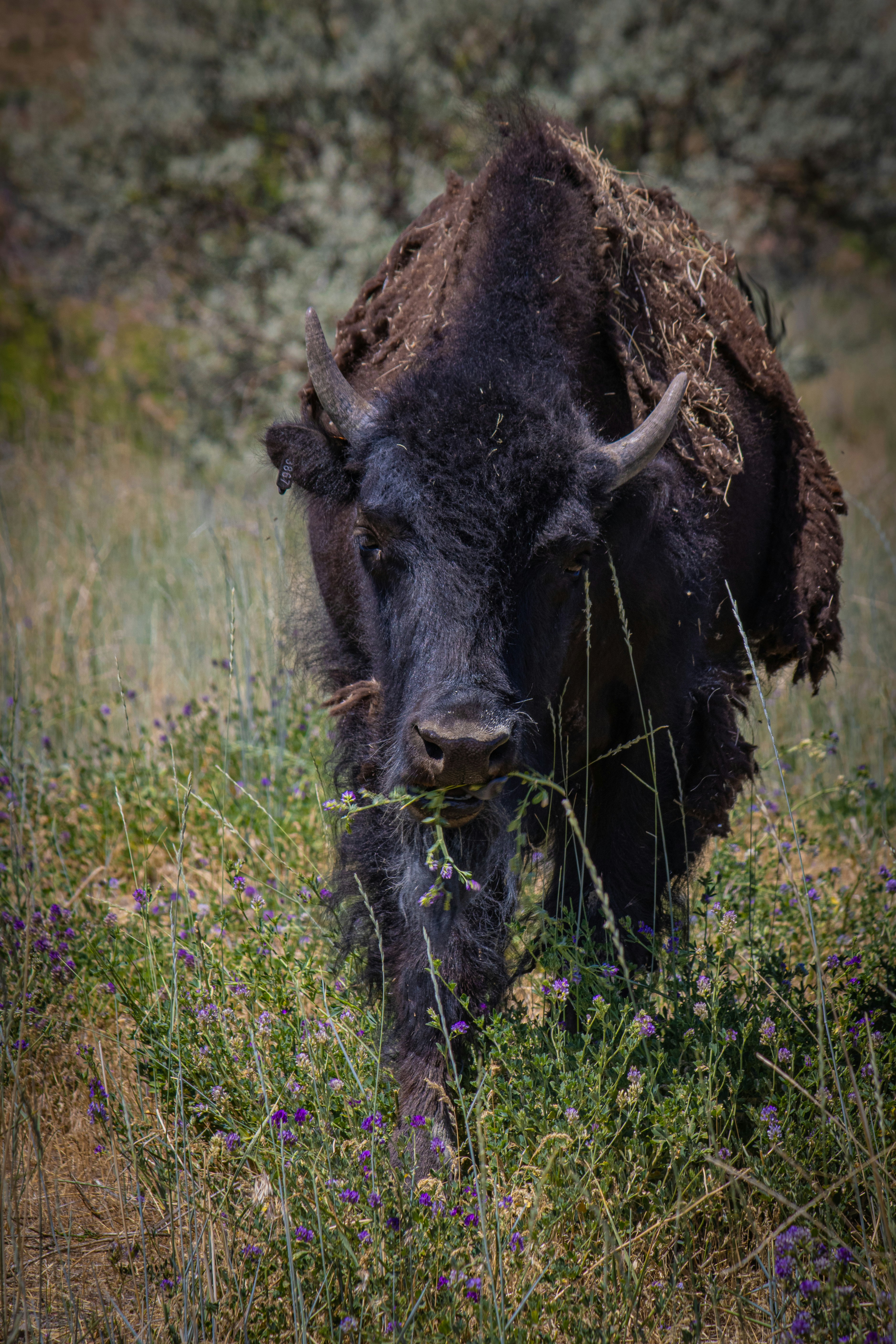 Photo by olivia_c987