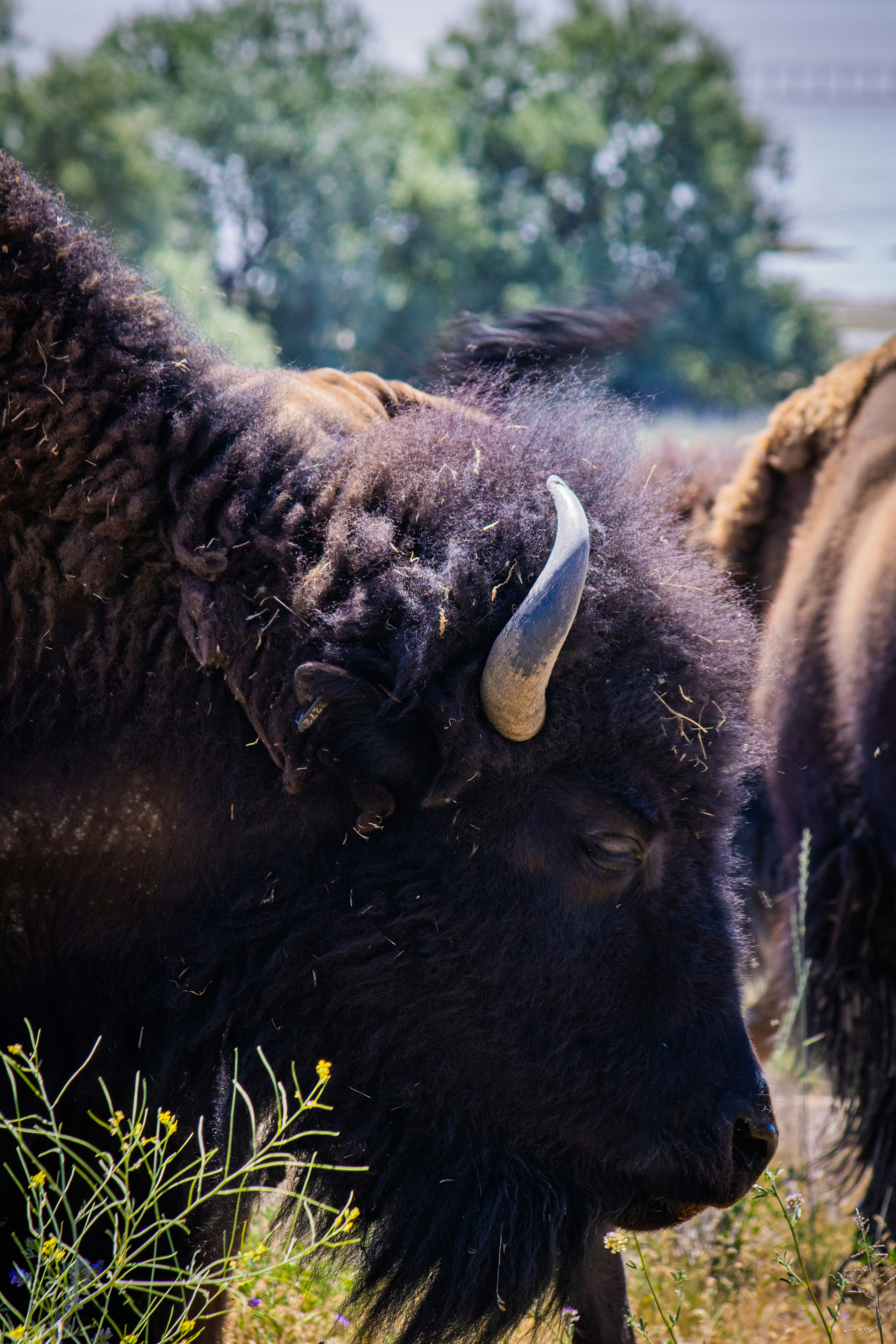 Photo by olivia_c987