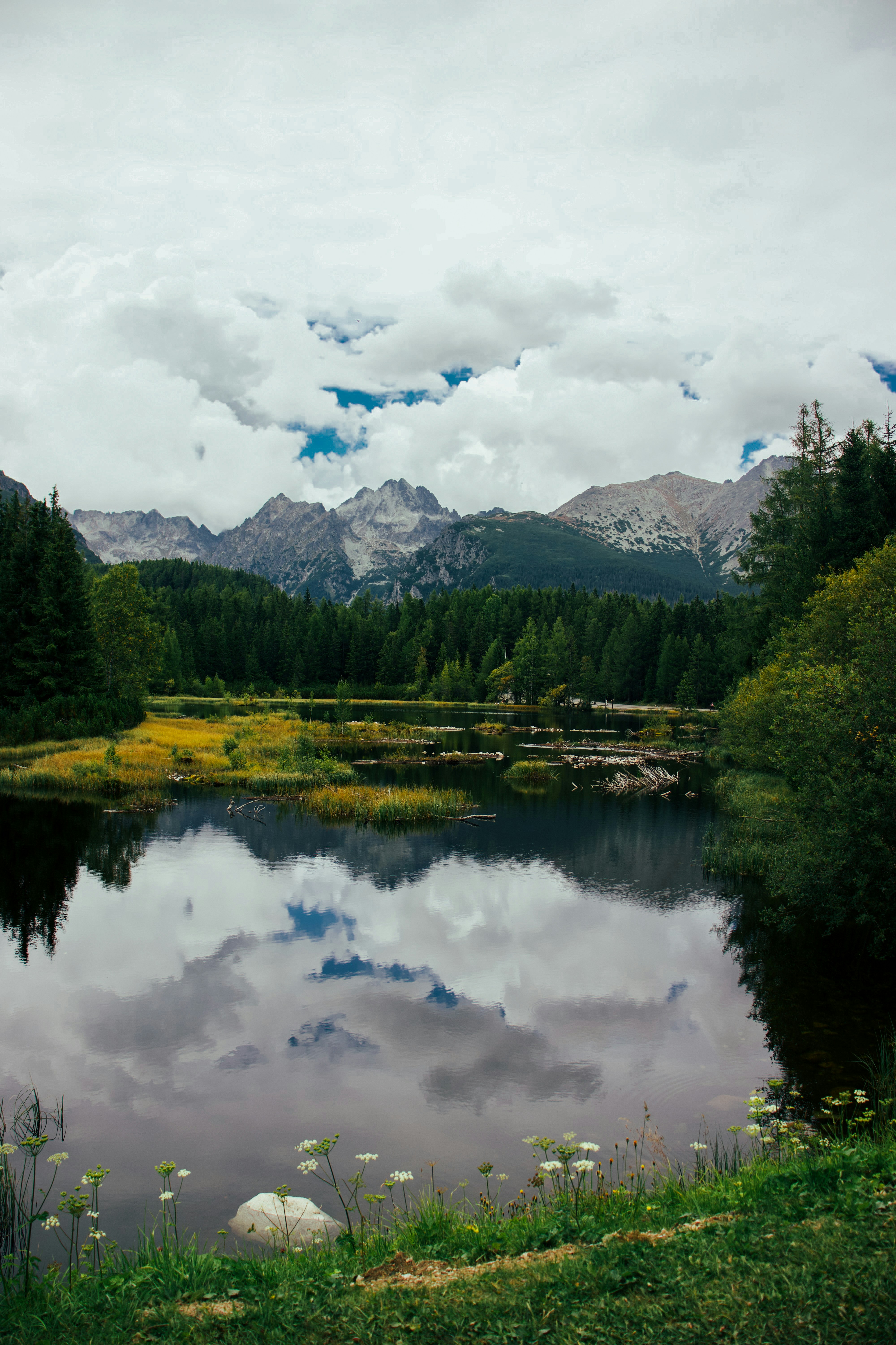 Photo by jakub_neskora