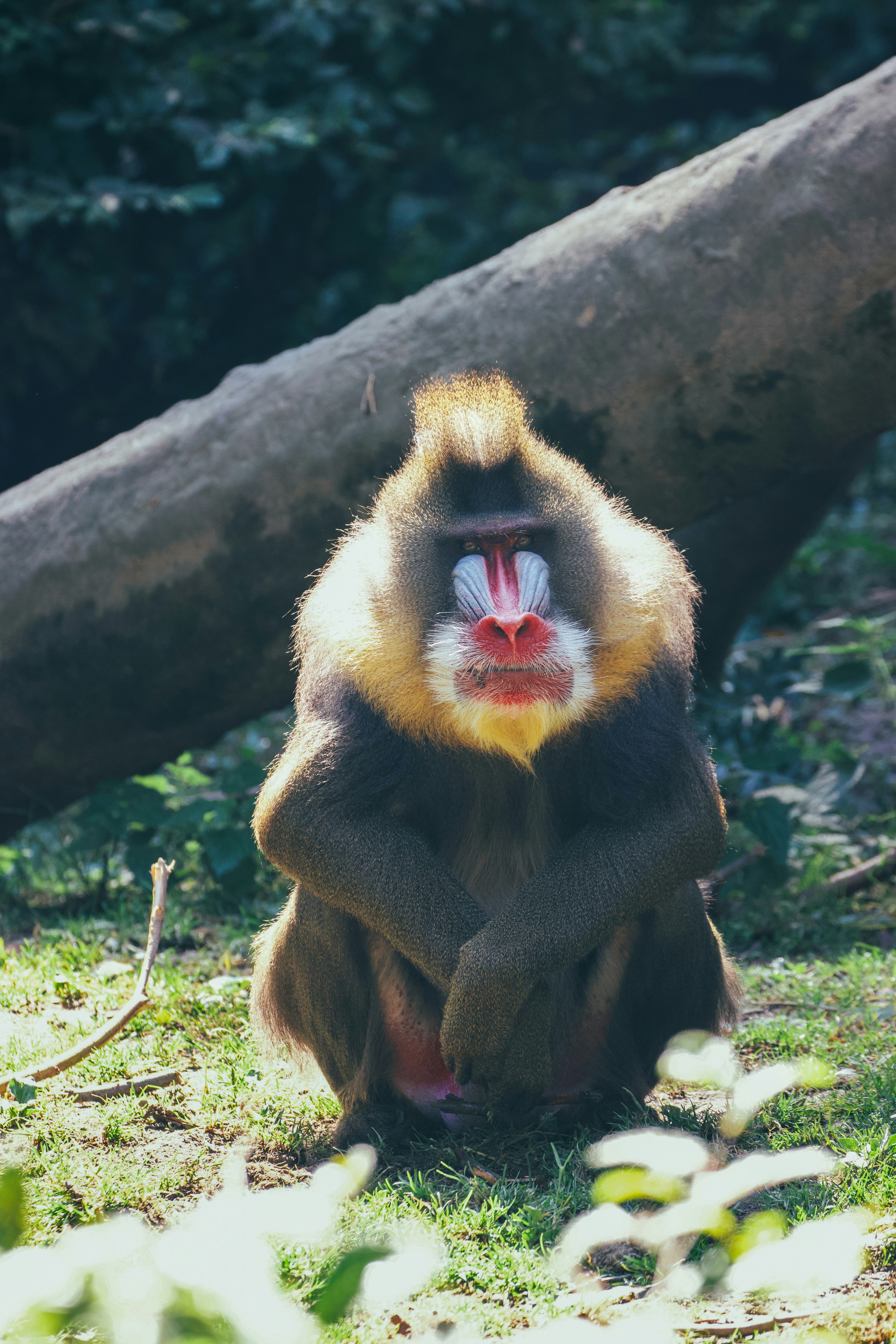 Photo by jakub_neskora