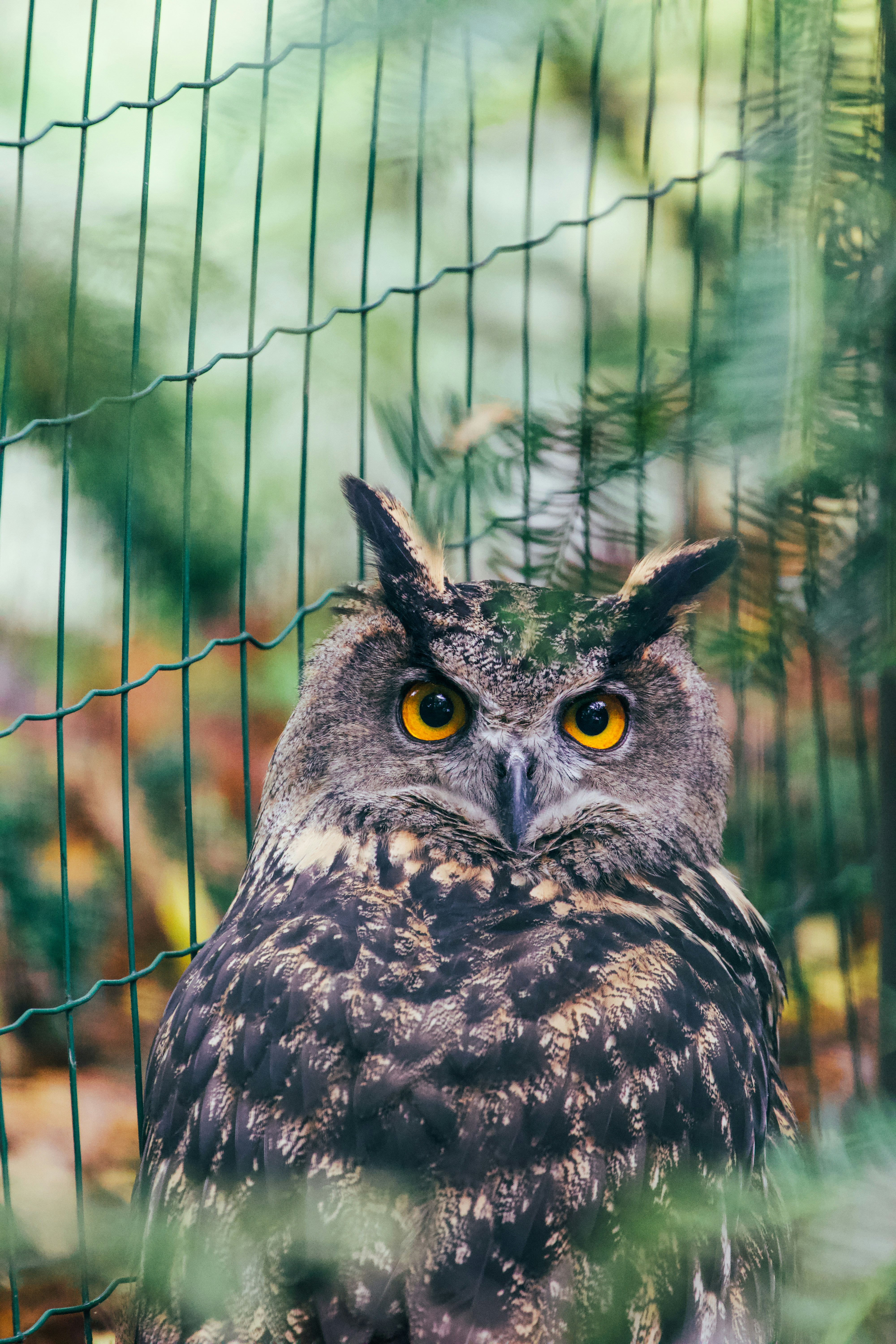 Photo by jakub_neskora