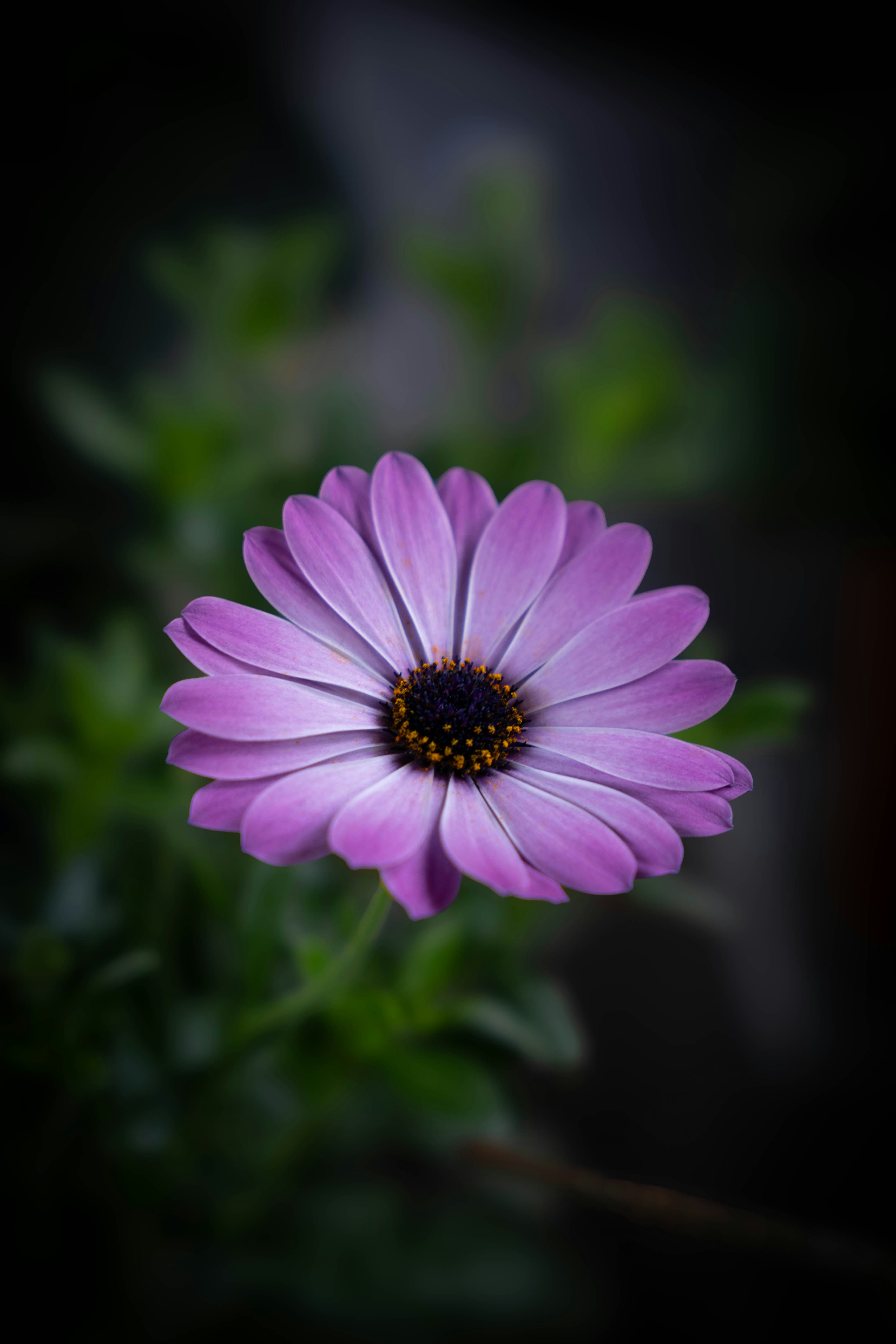 Photo by maviatlas
