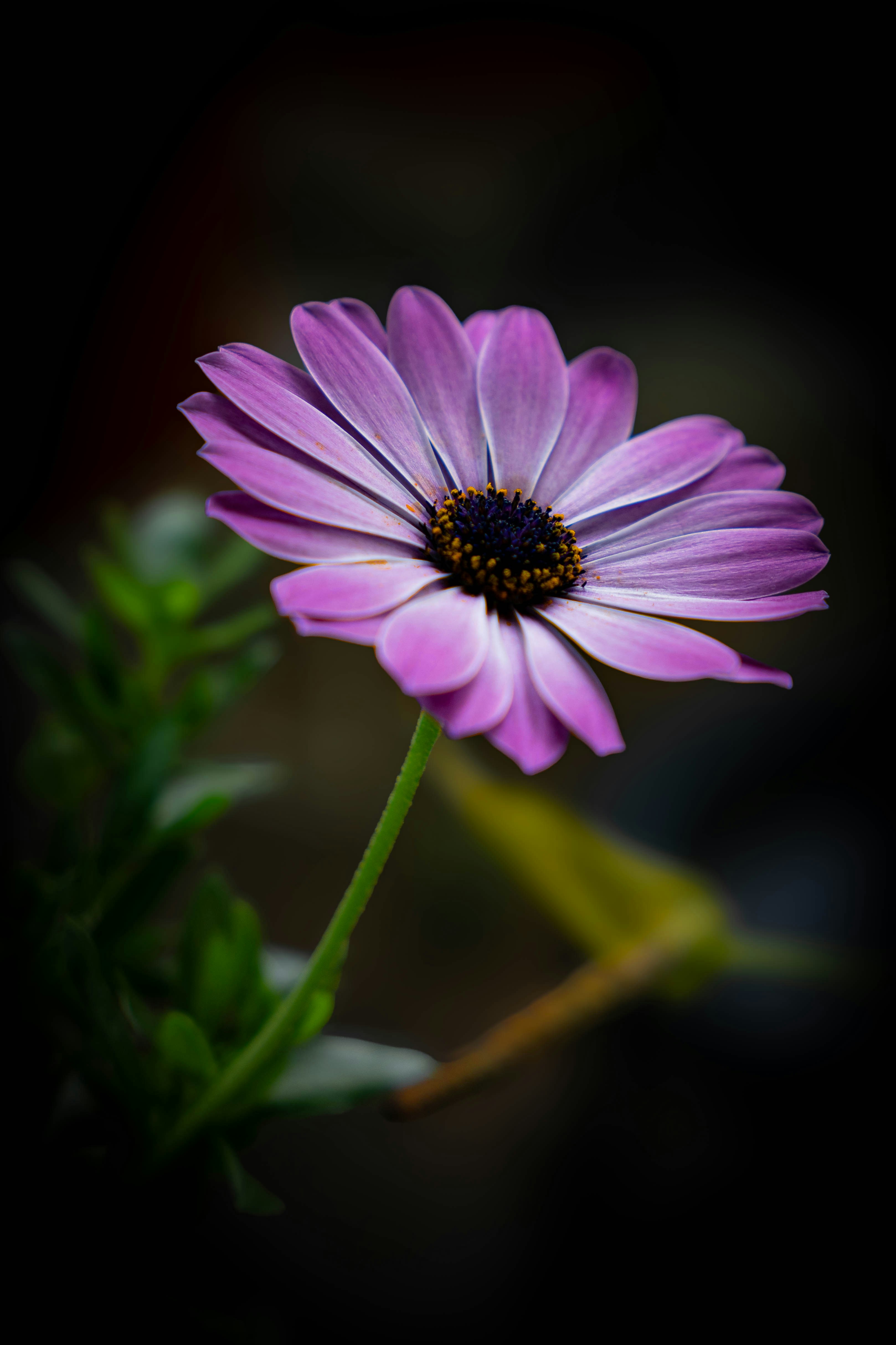 Photo by maviatlas