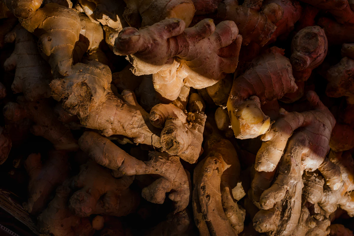 Fresh ginger root close up for natural nausea relief and digestive wellness