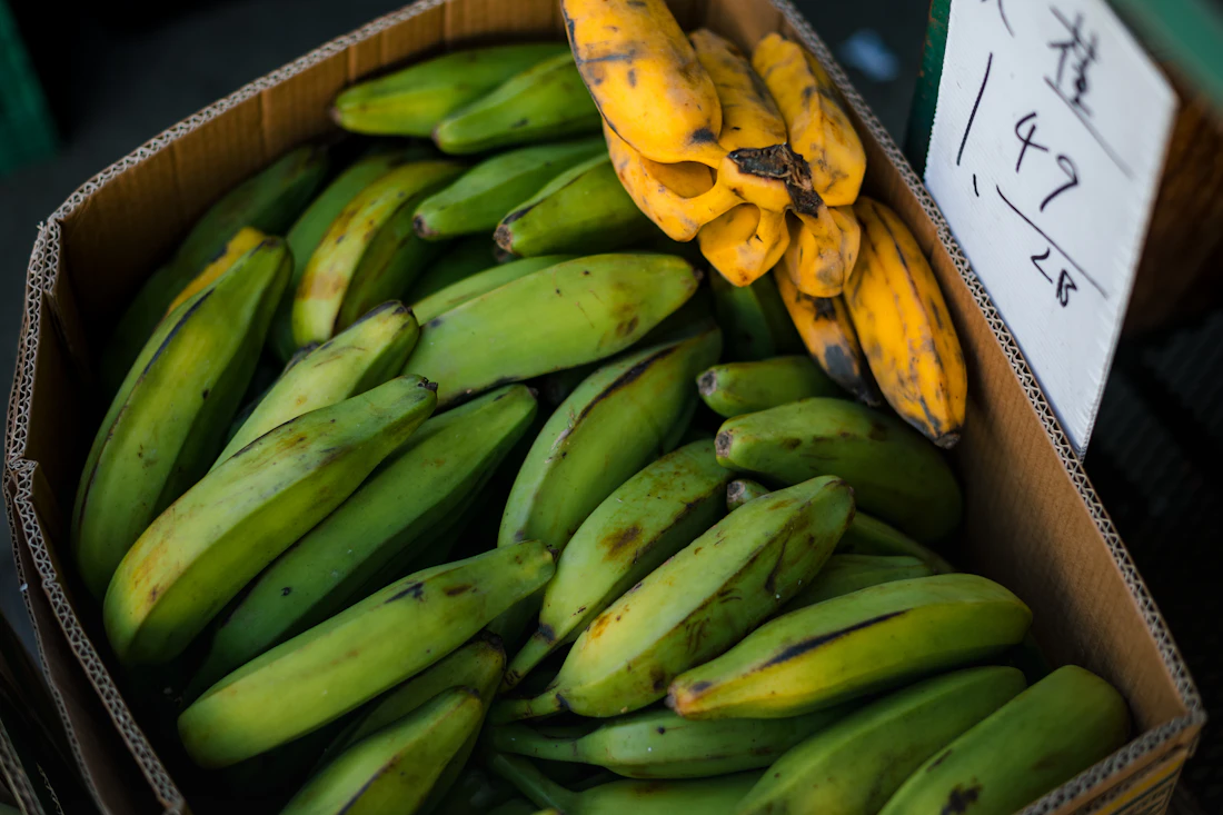 Green and yellow bananas arranged in a produce box