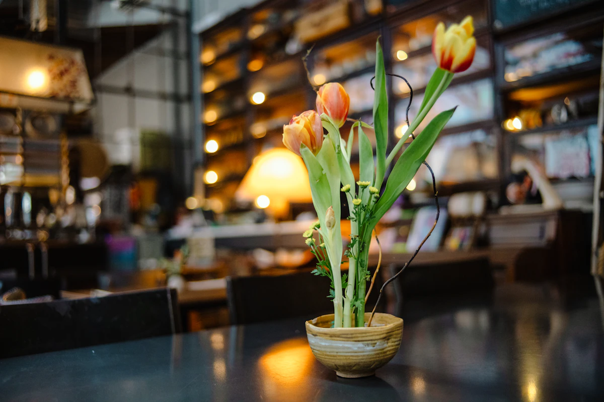 How Do Restaurants Rank for Perplexity Citations in 2026?