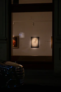 Artwork displayed in a dimly lit gallery at night.