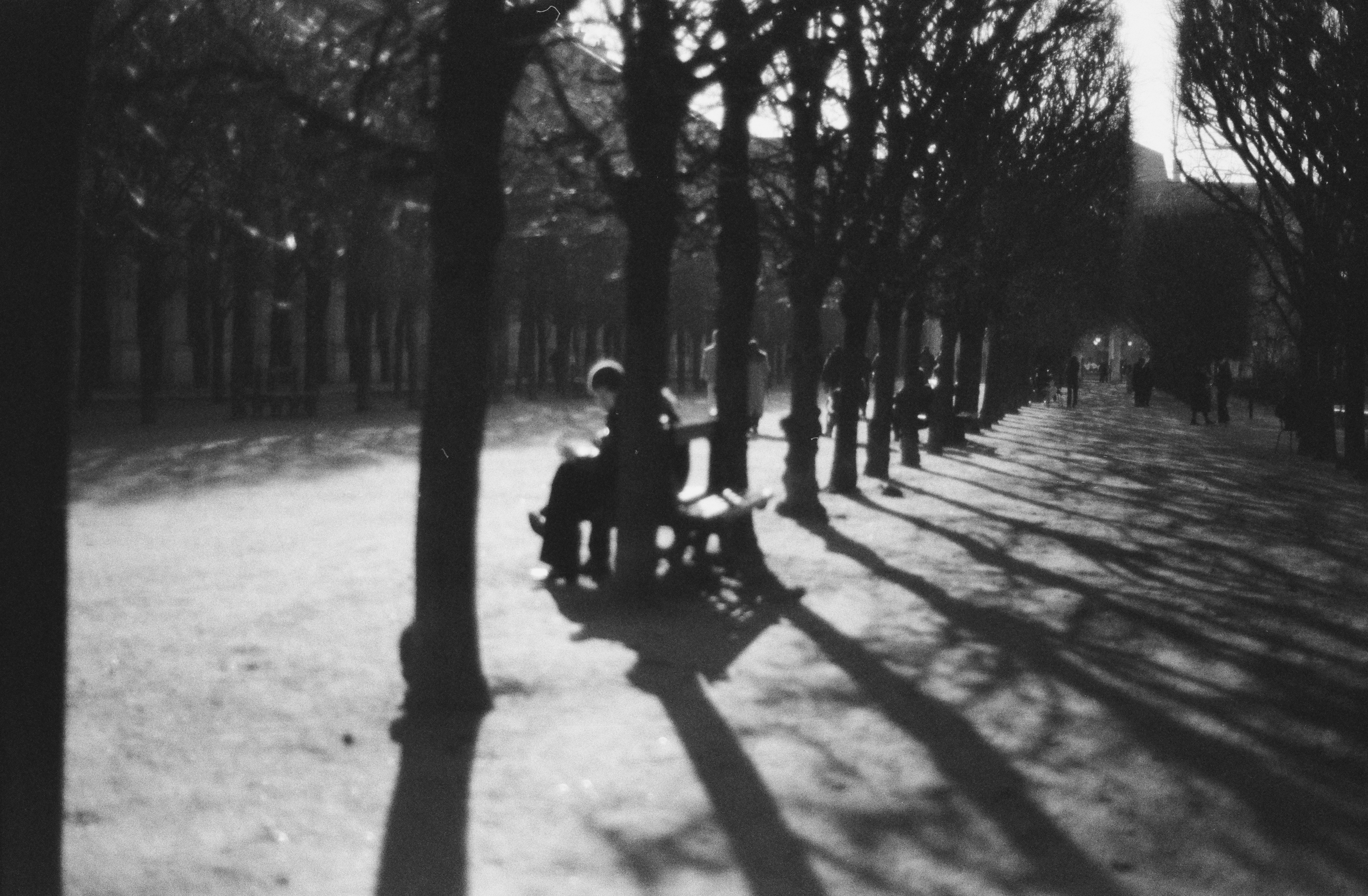 Persone sedute su una panchina del parco con lunghe ombre.