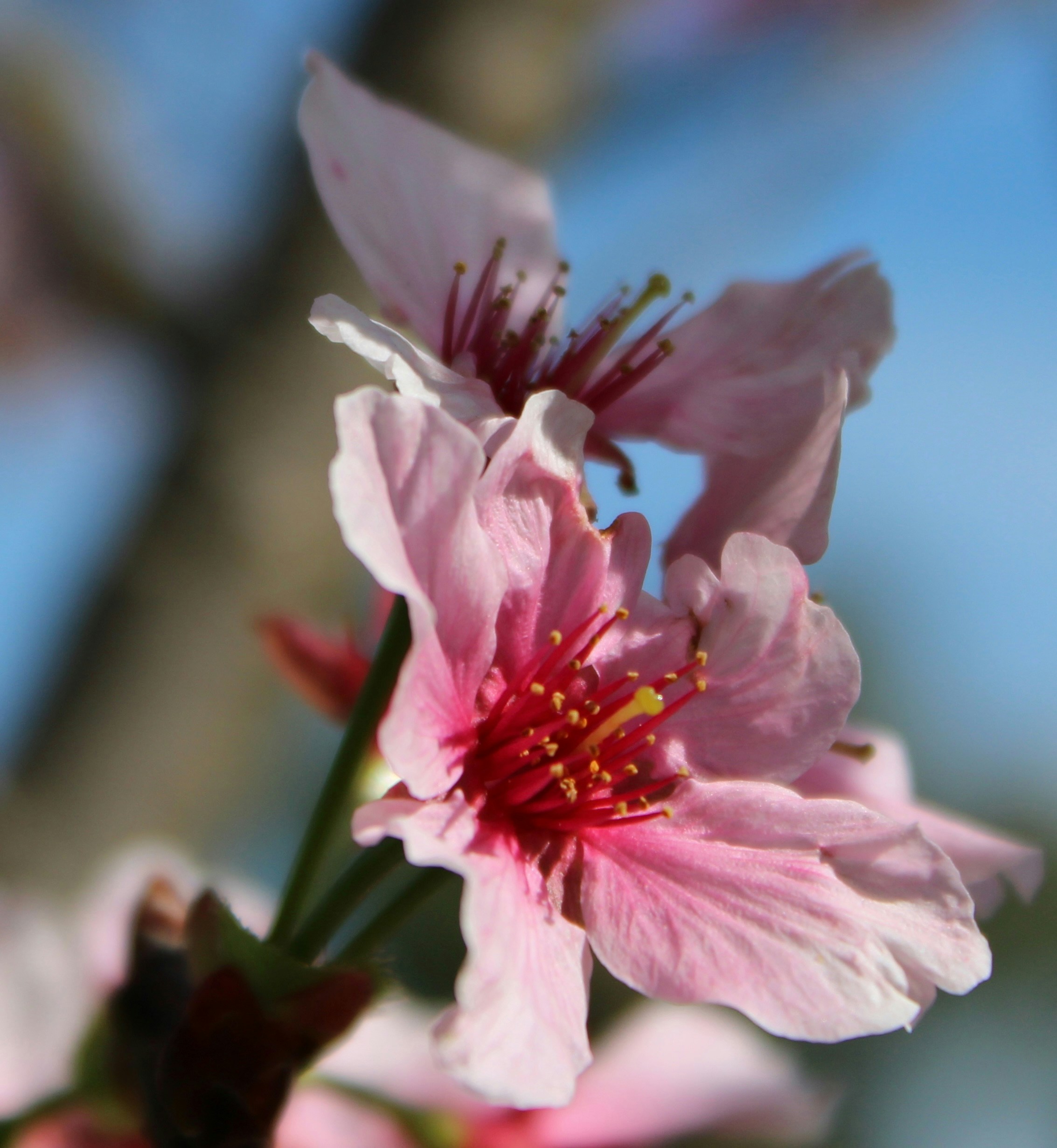 Photo by nature96