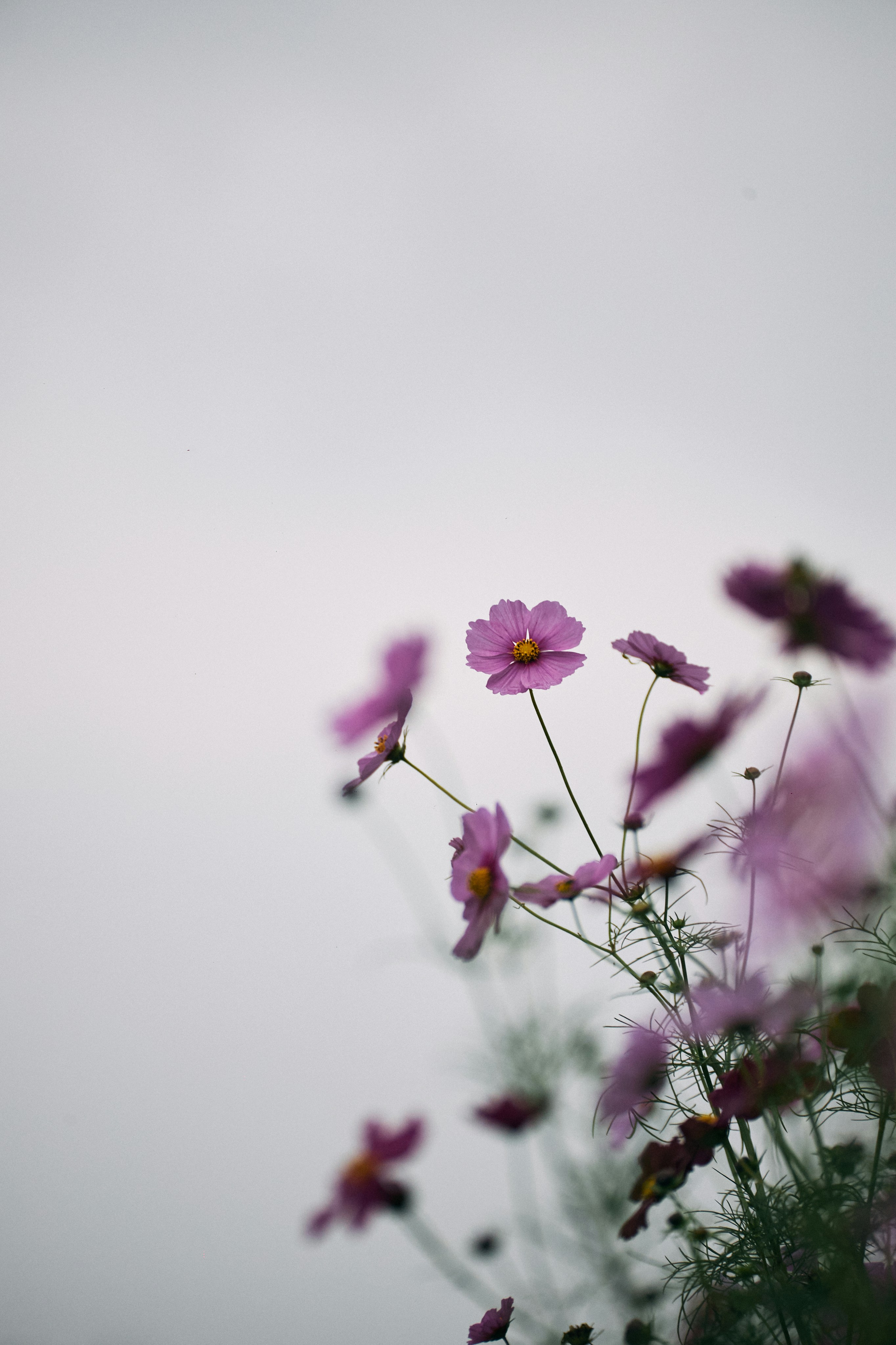 Photo by tsuyoshikozu