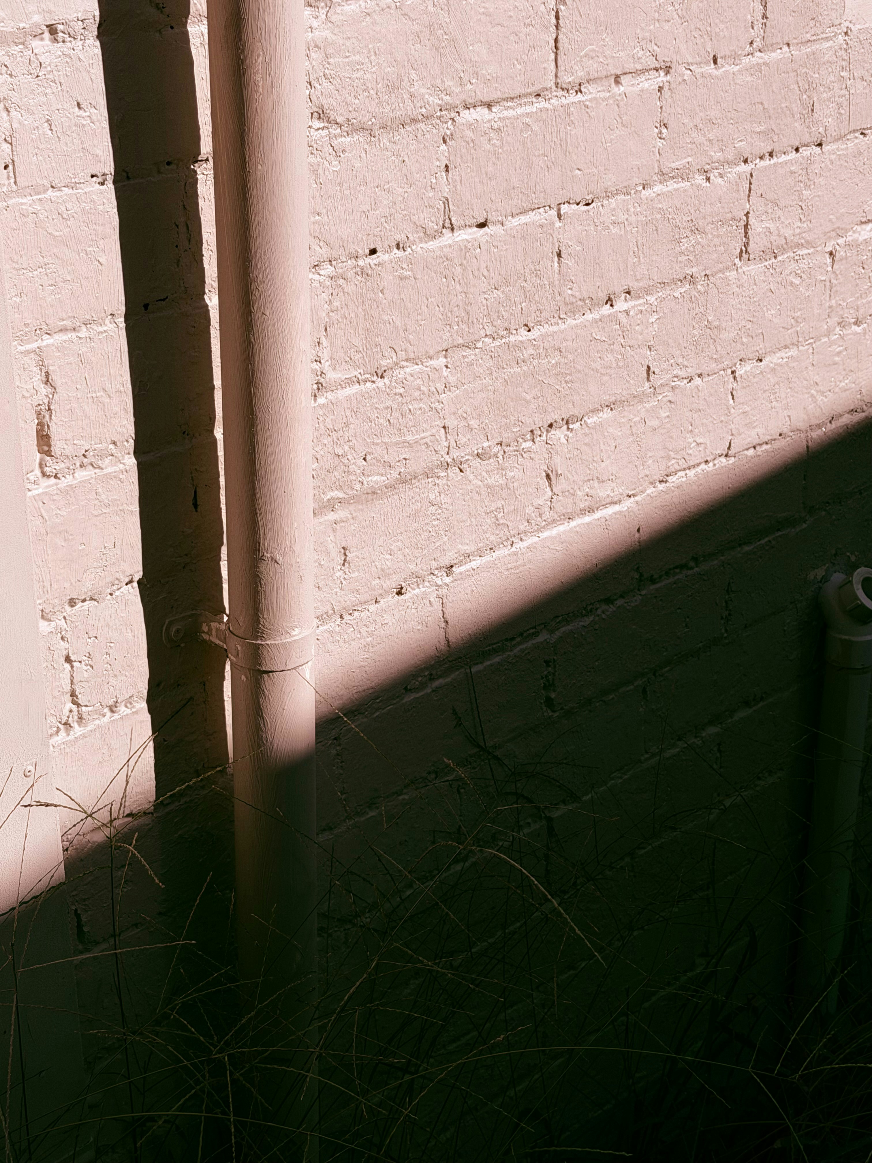 Photo by liam_scotchmer