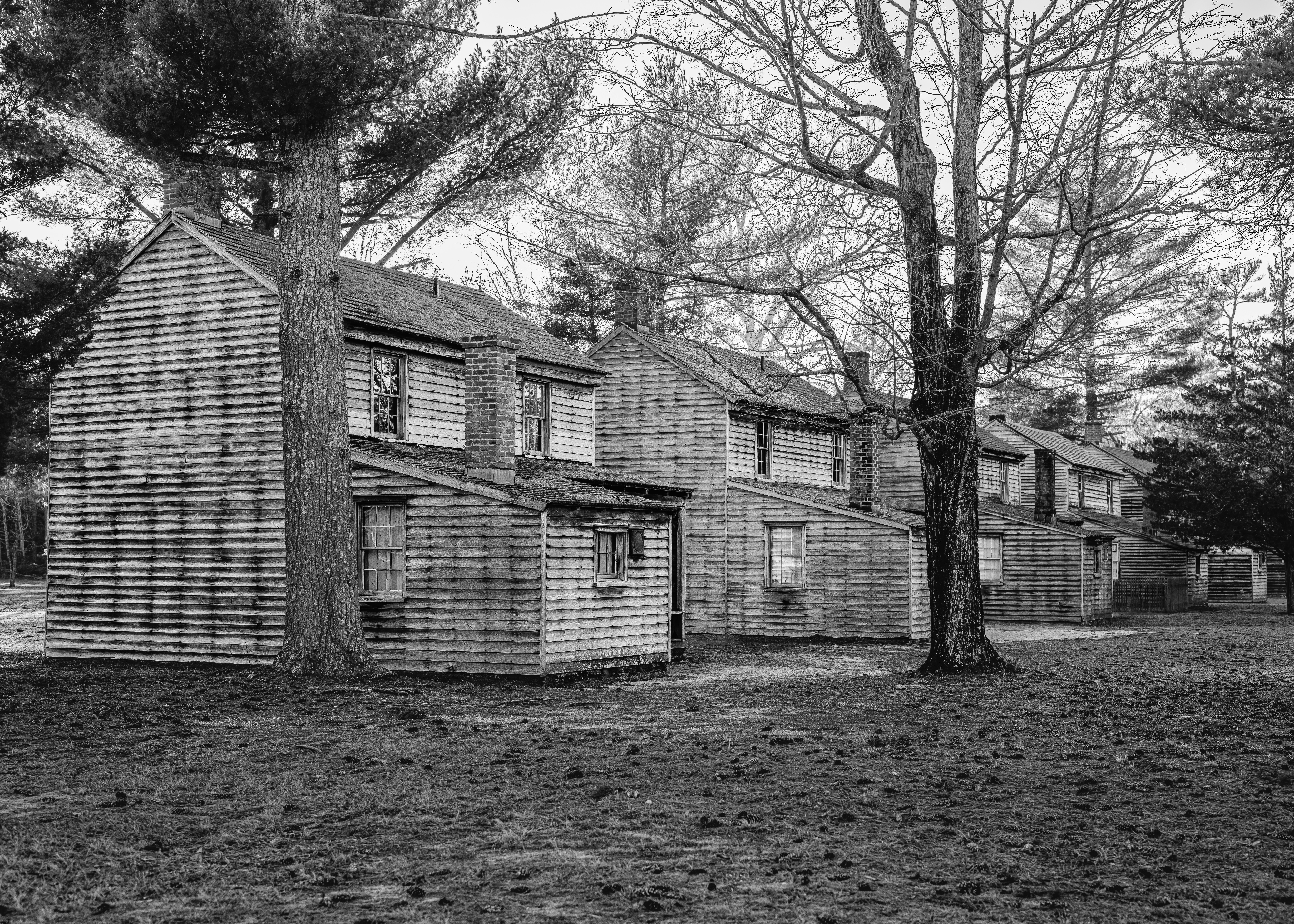 Row of wooden houses with trees in foreground.