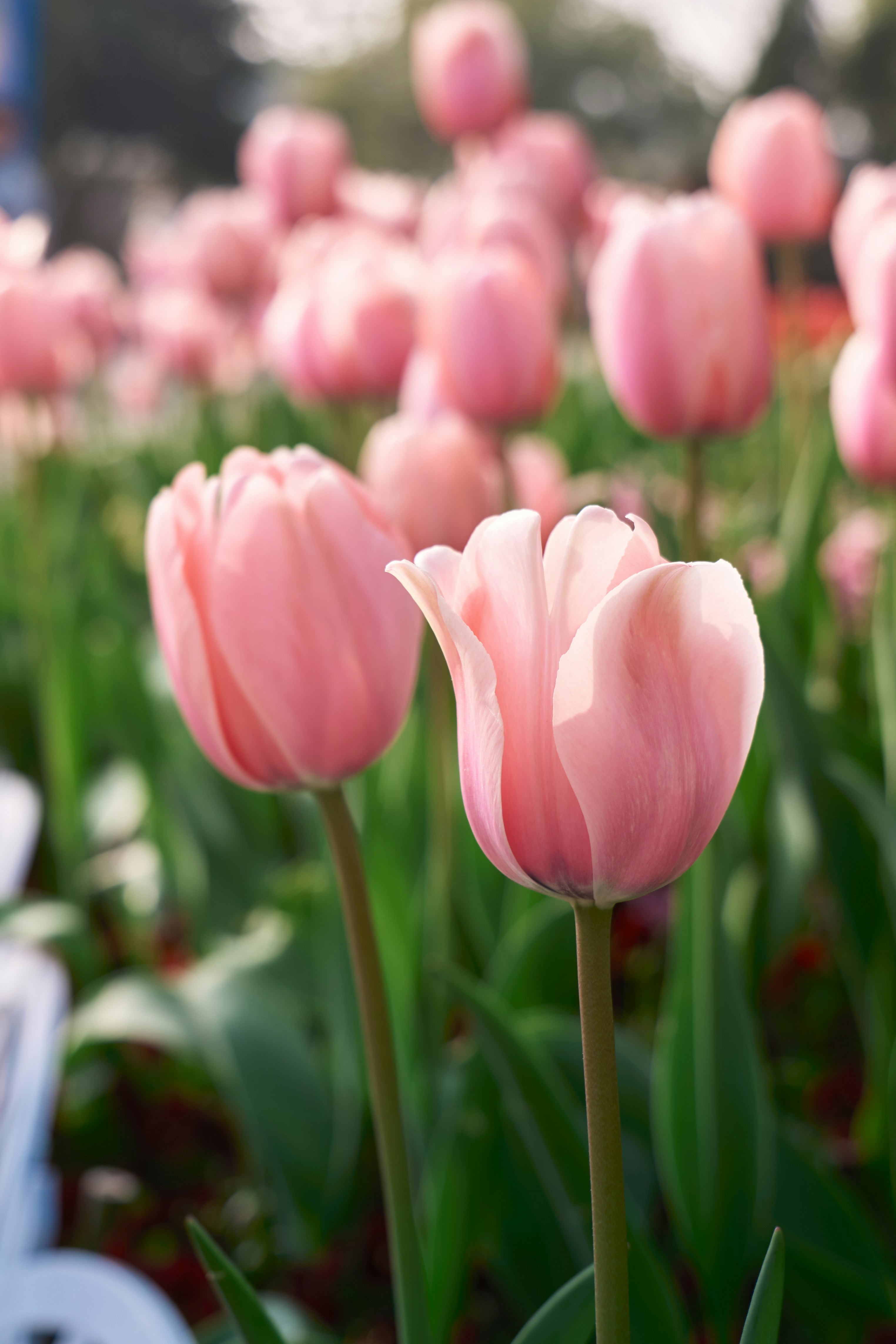 Photo by aasing_gwok