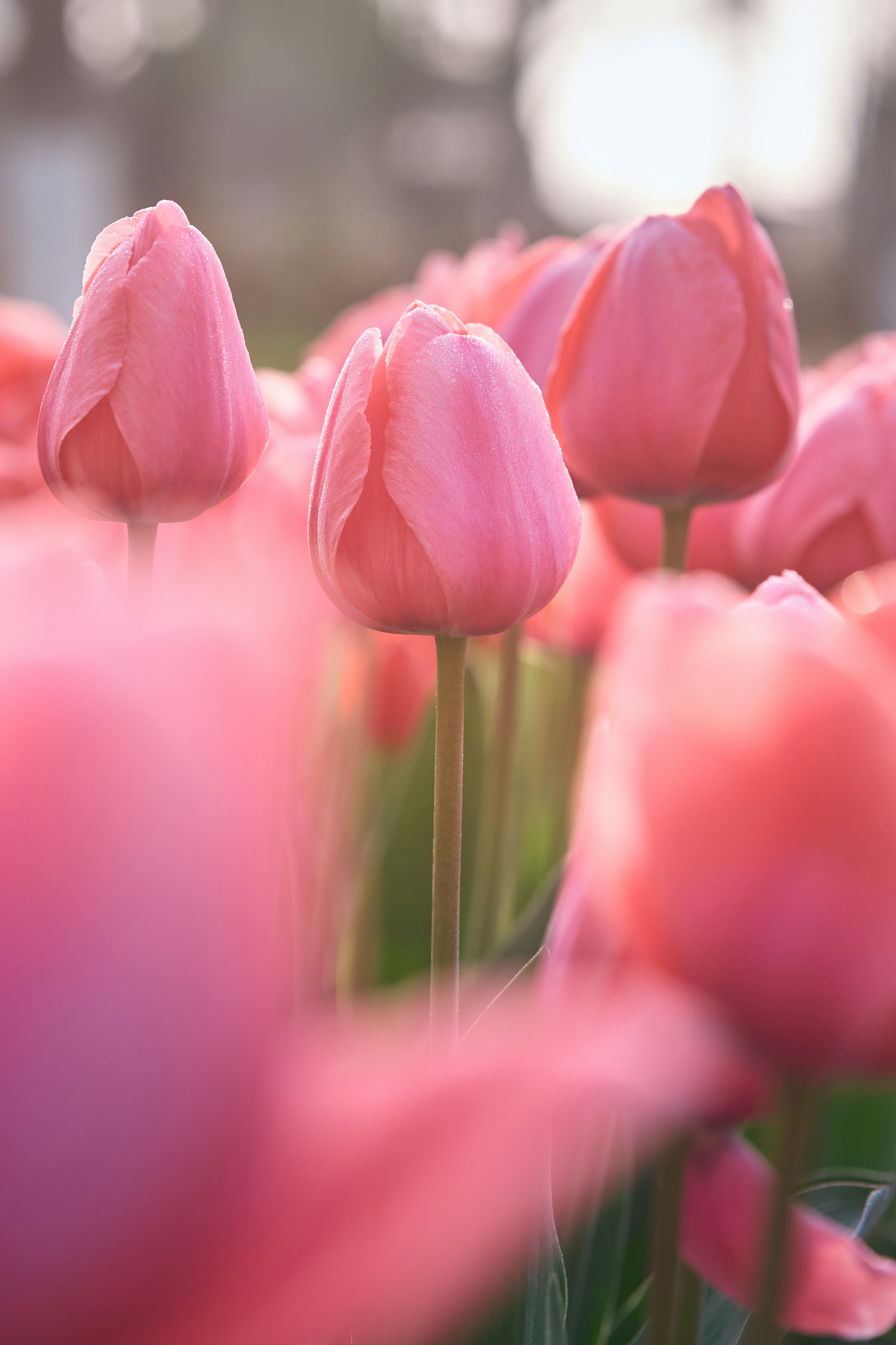 Photo by aasing_gwok