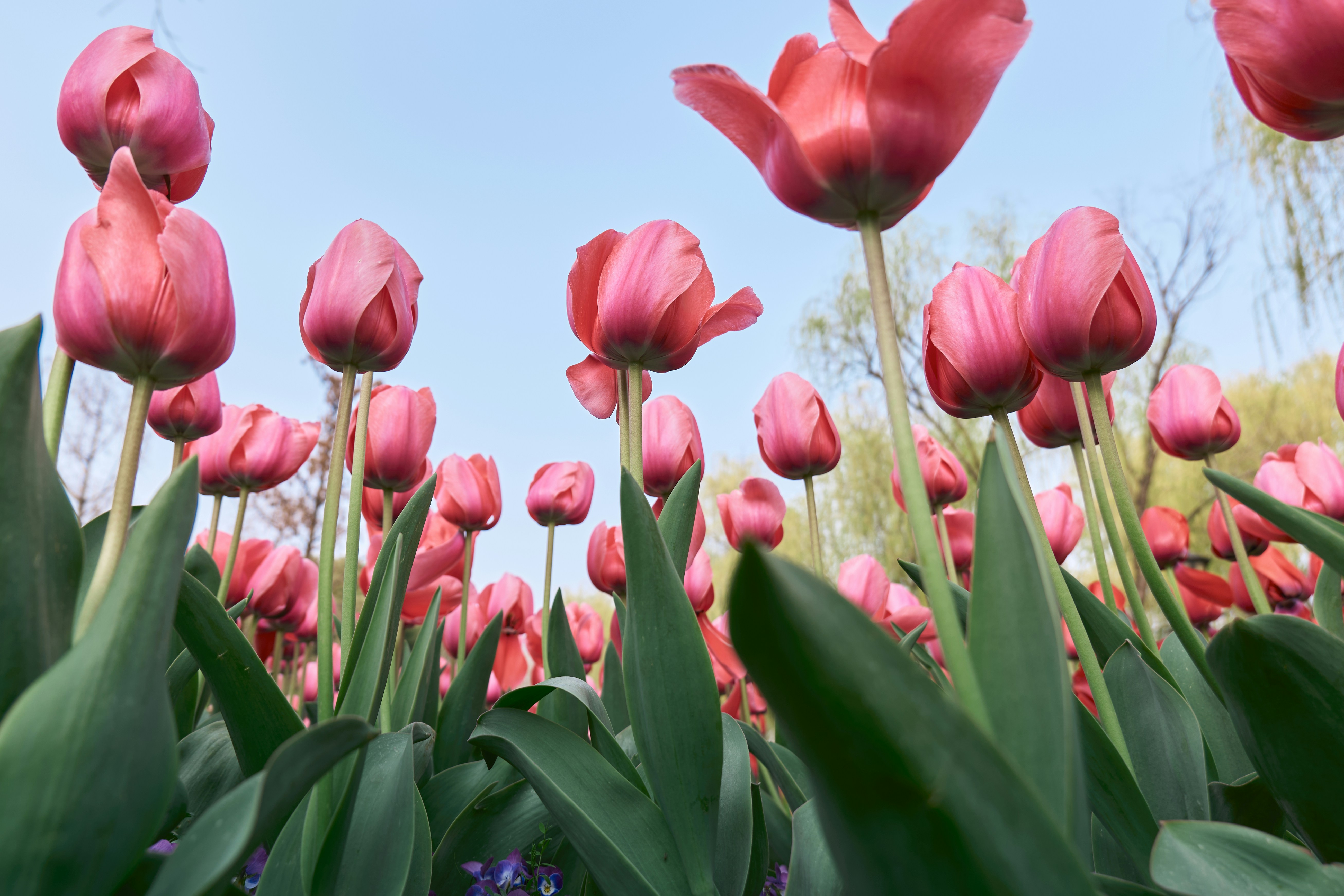 Photo by aasing_gwok