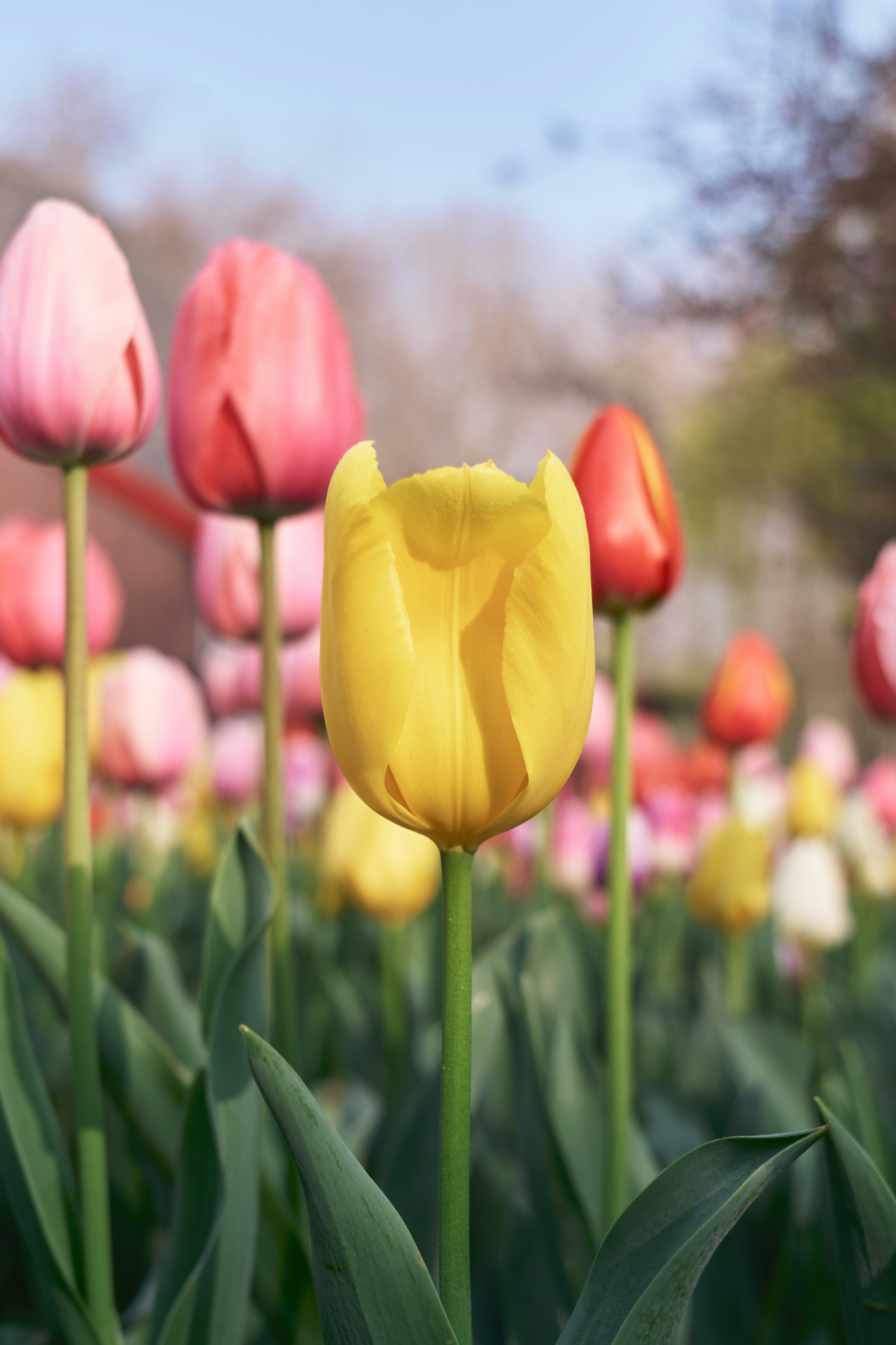 Photo by aasing_gwok