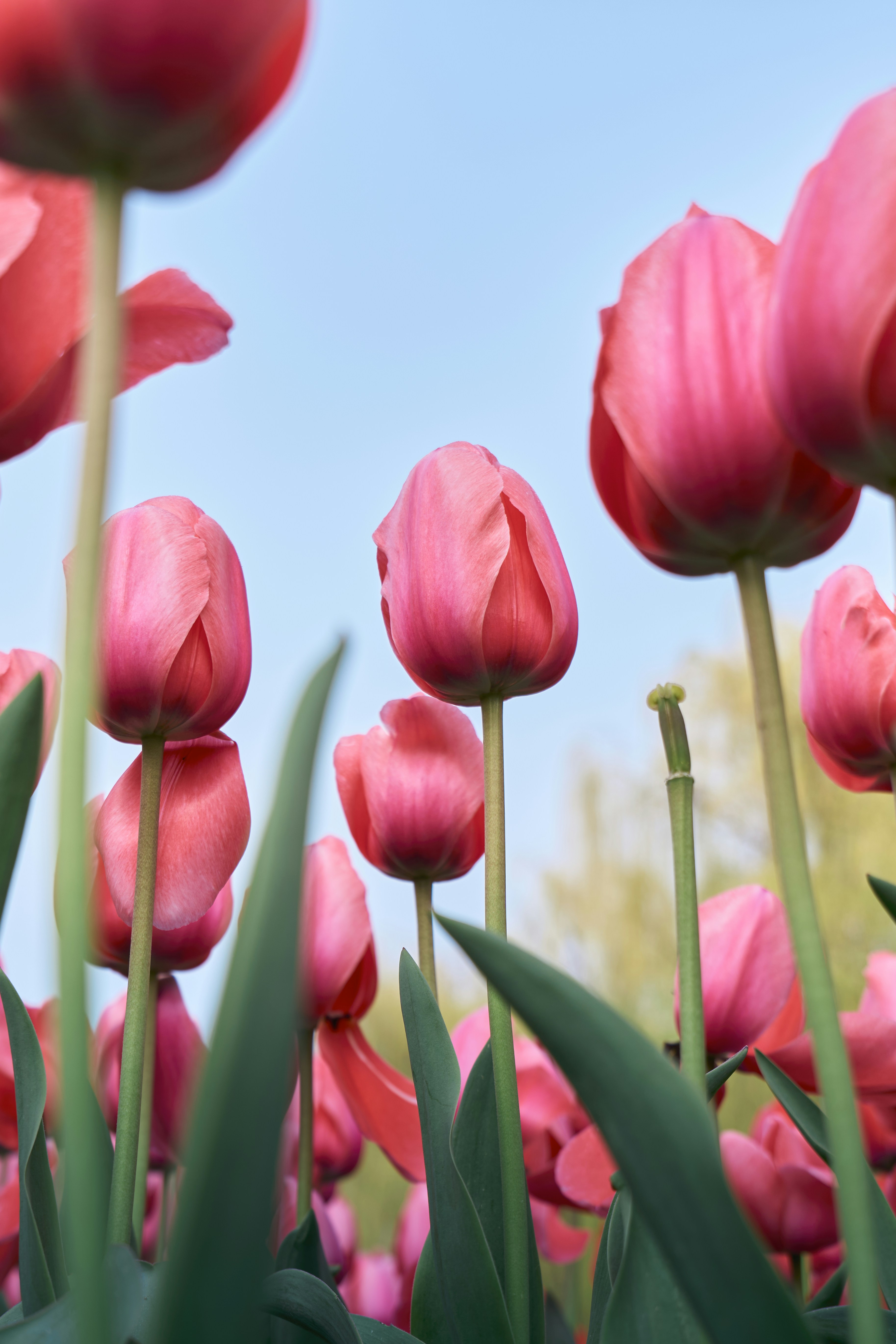 Photo by aasing_gwok