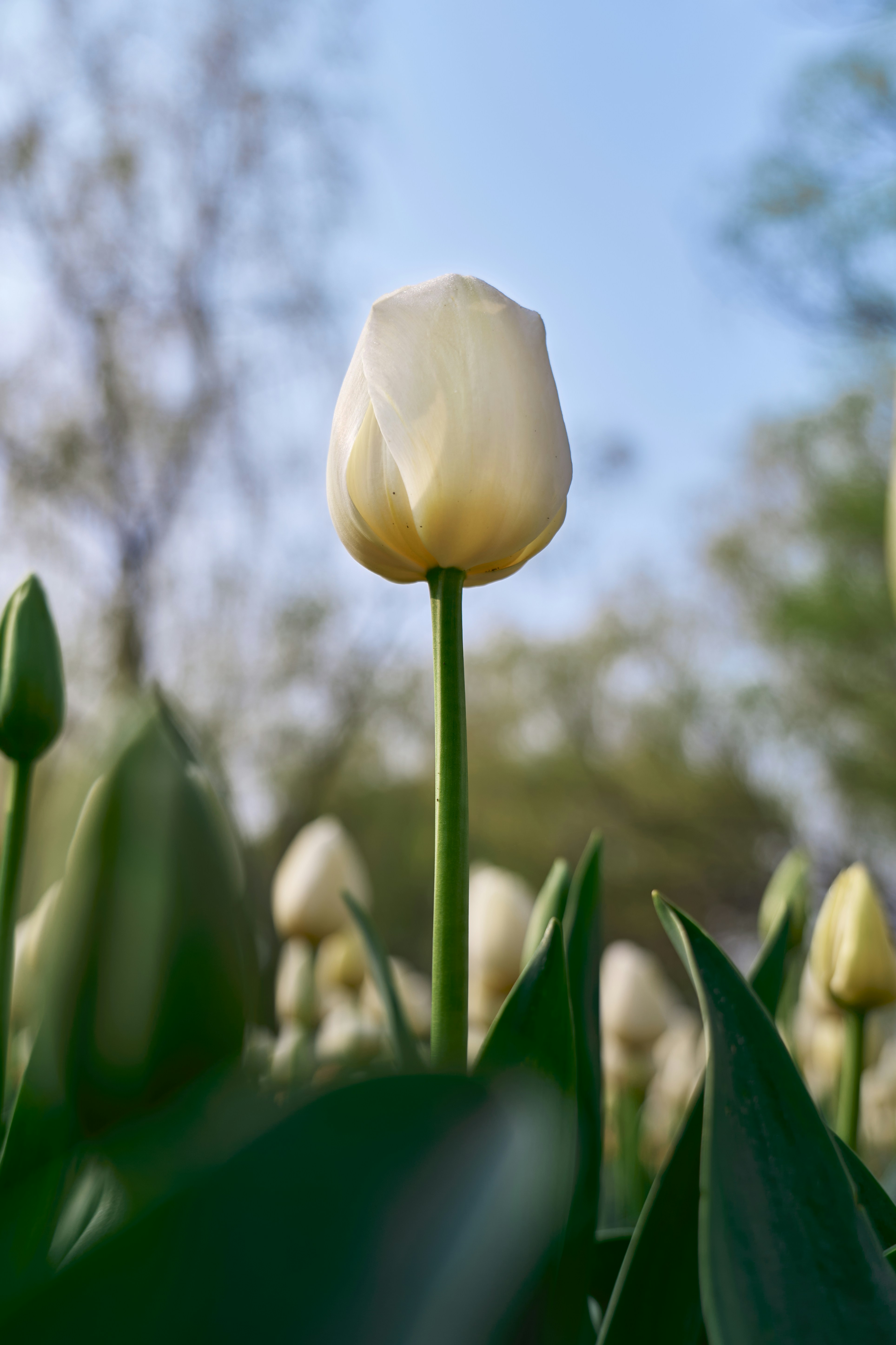 Photo by aasing_gwok