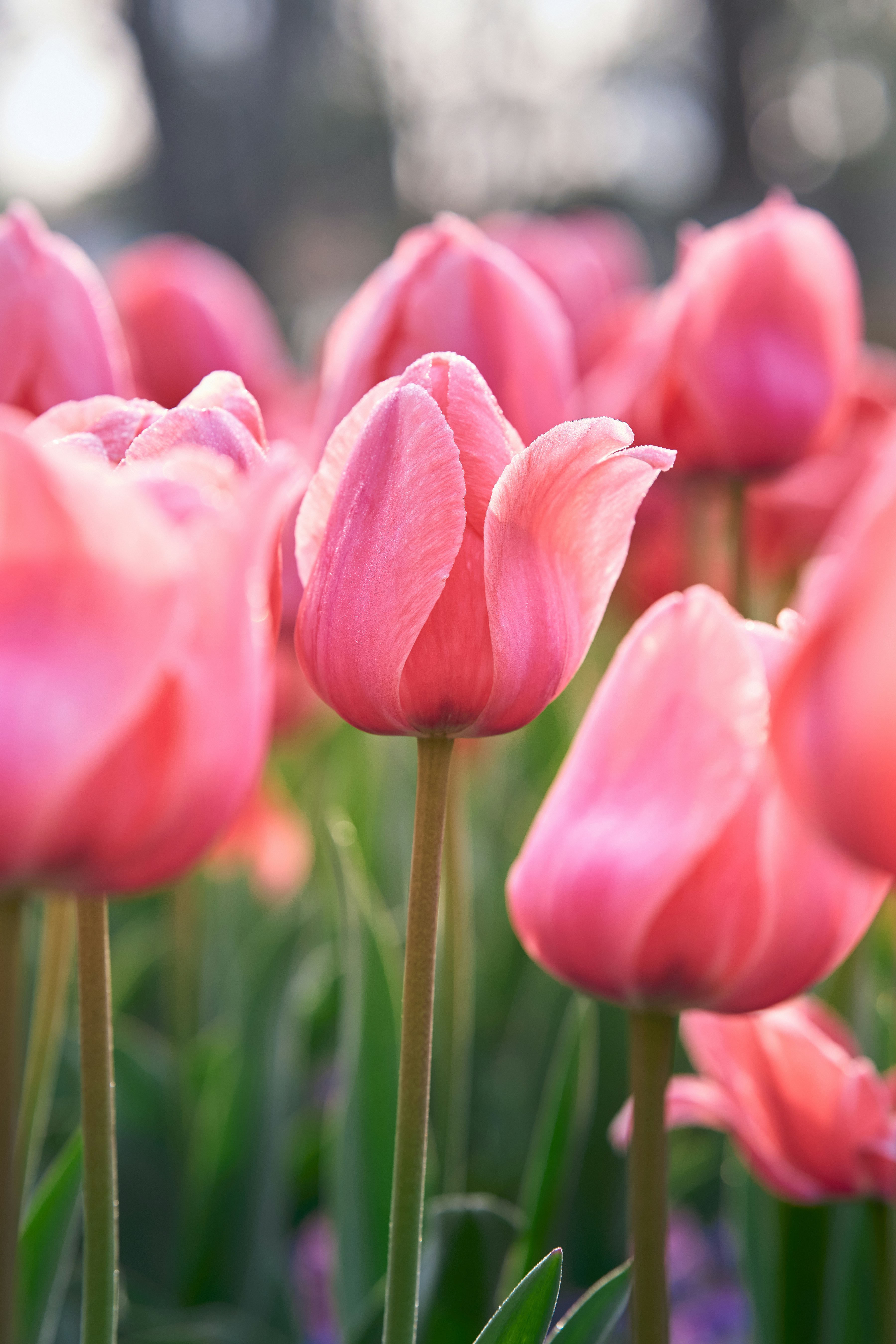 Photo by aasing_gwok