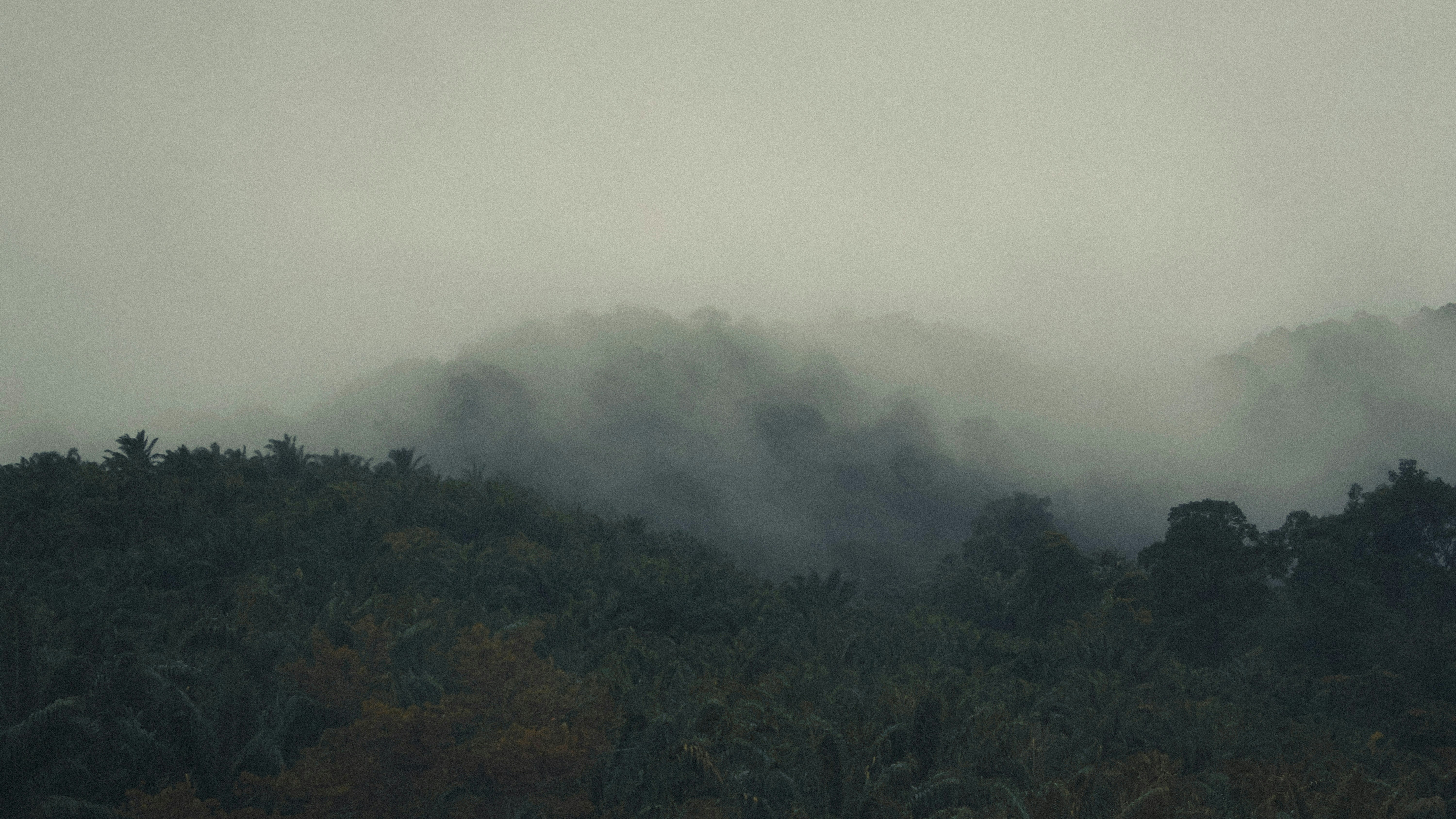 Photo by joenyew1213