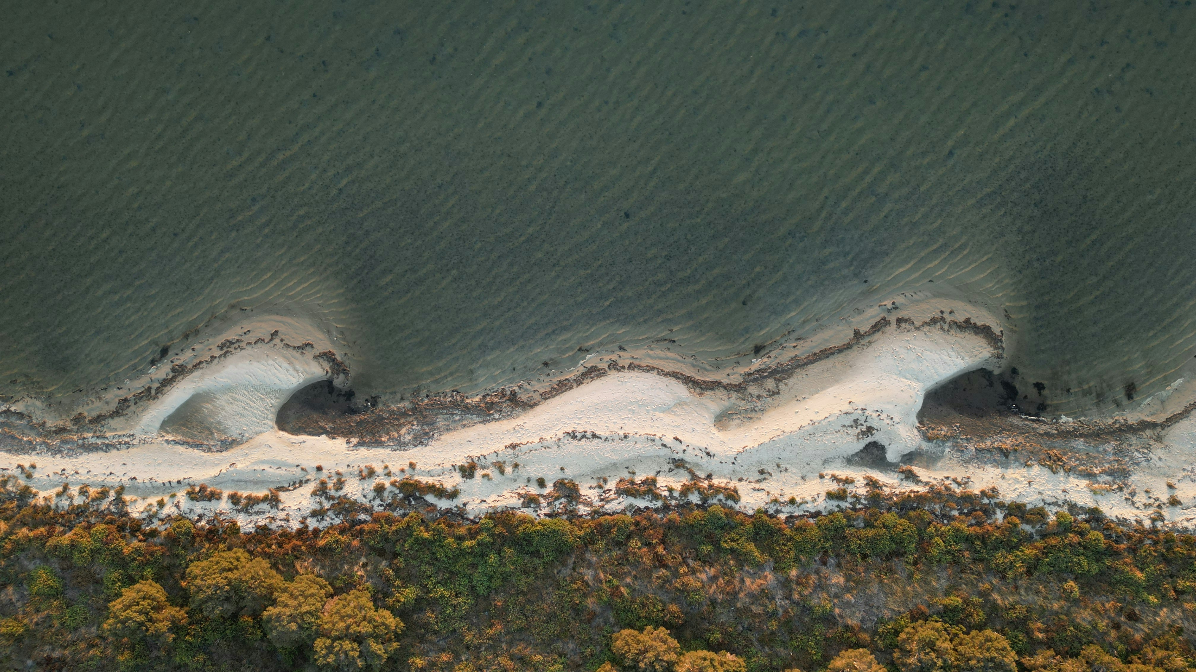 Opening Success: The Essential Function of a Registered Agent