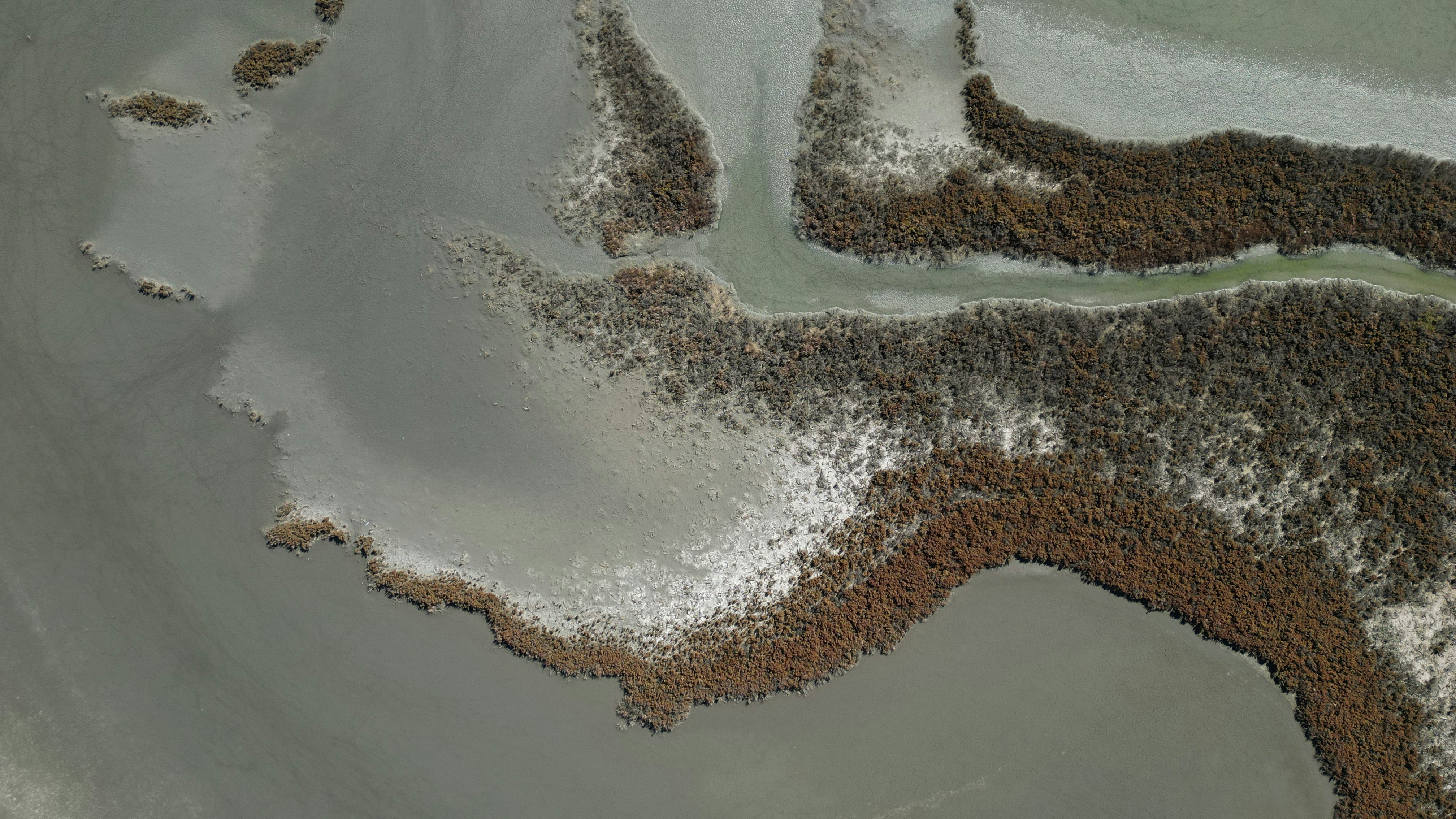 Vue aérienne des marais côtiers avec végétation sèche