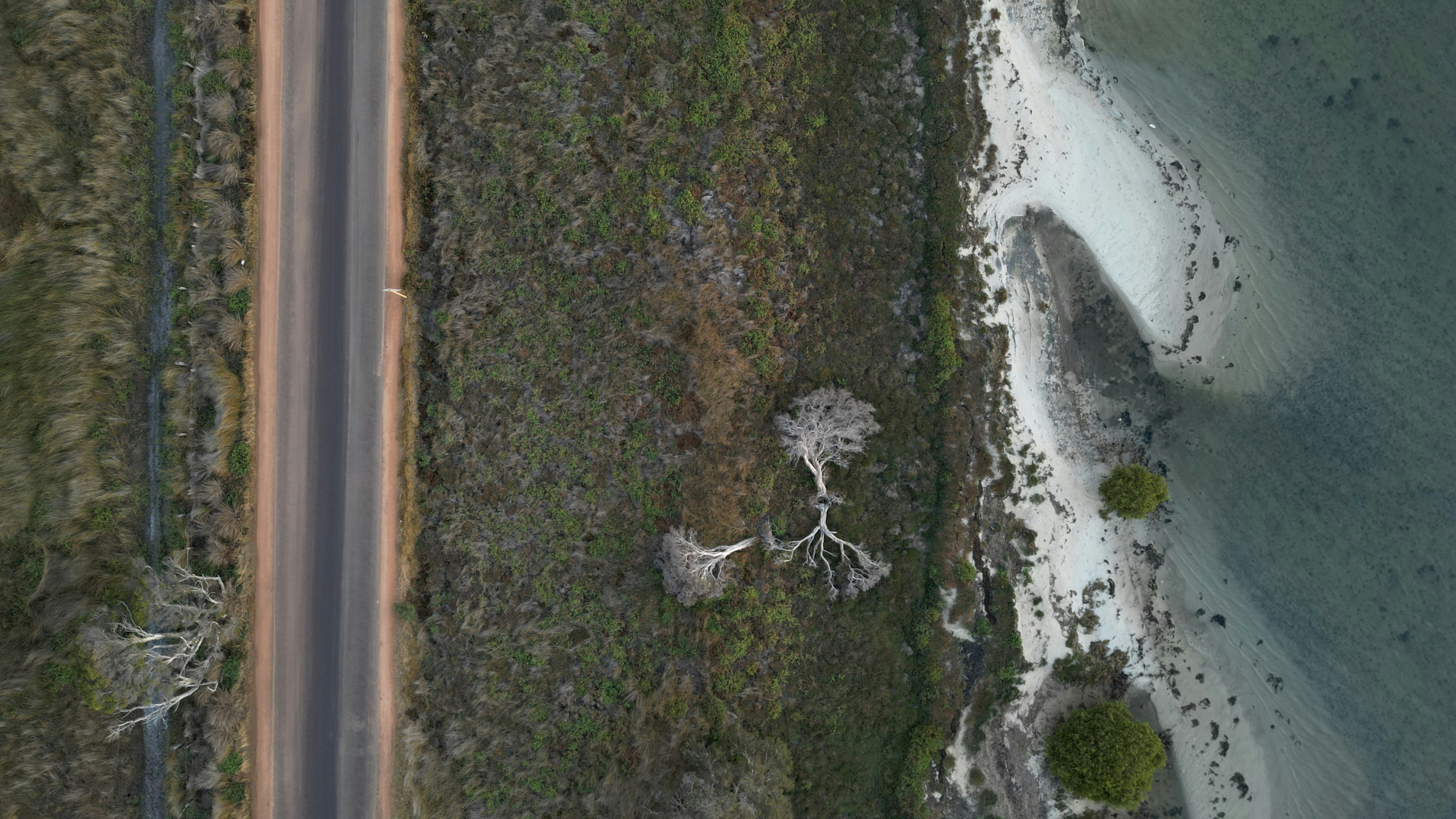 Vue aérienne d’une route, d’arbres secs et de la côte.