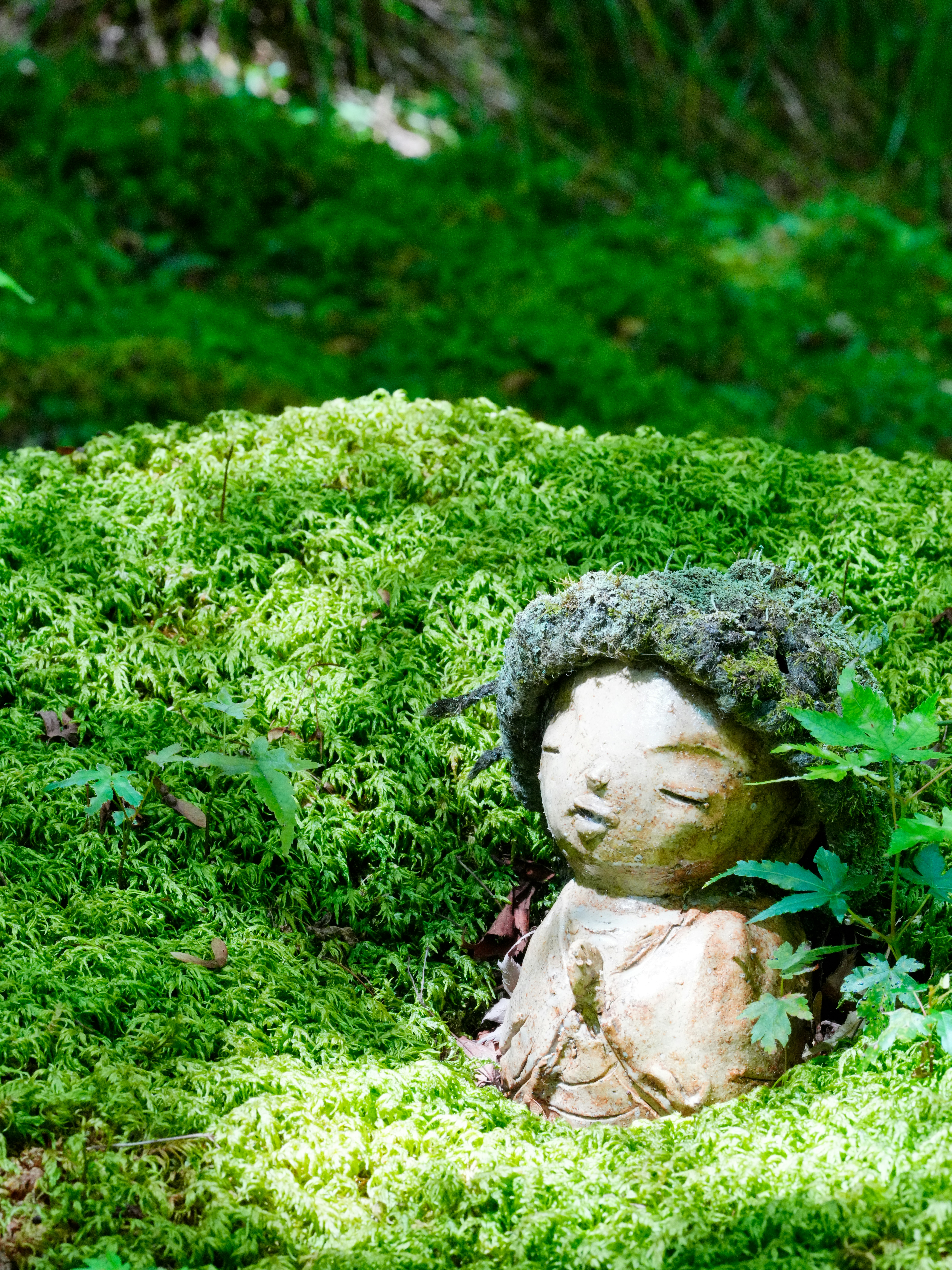 Eine kleine Steinstatue, eingebettet in üppig grünes Moos.