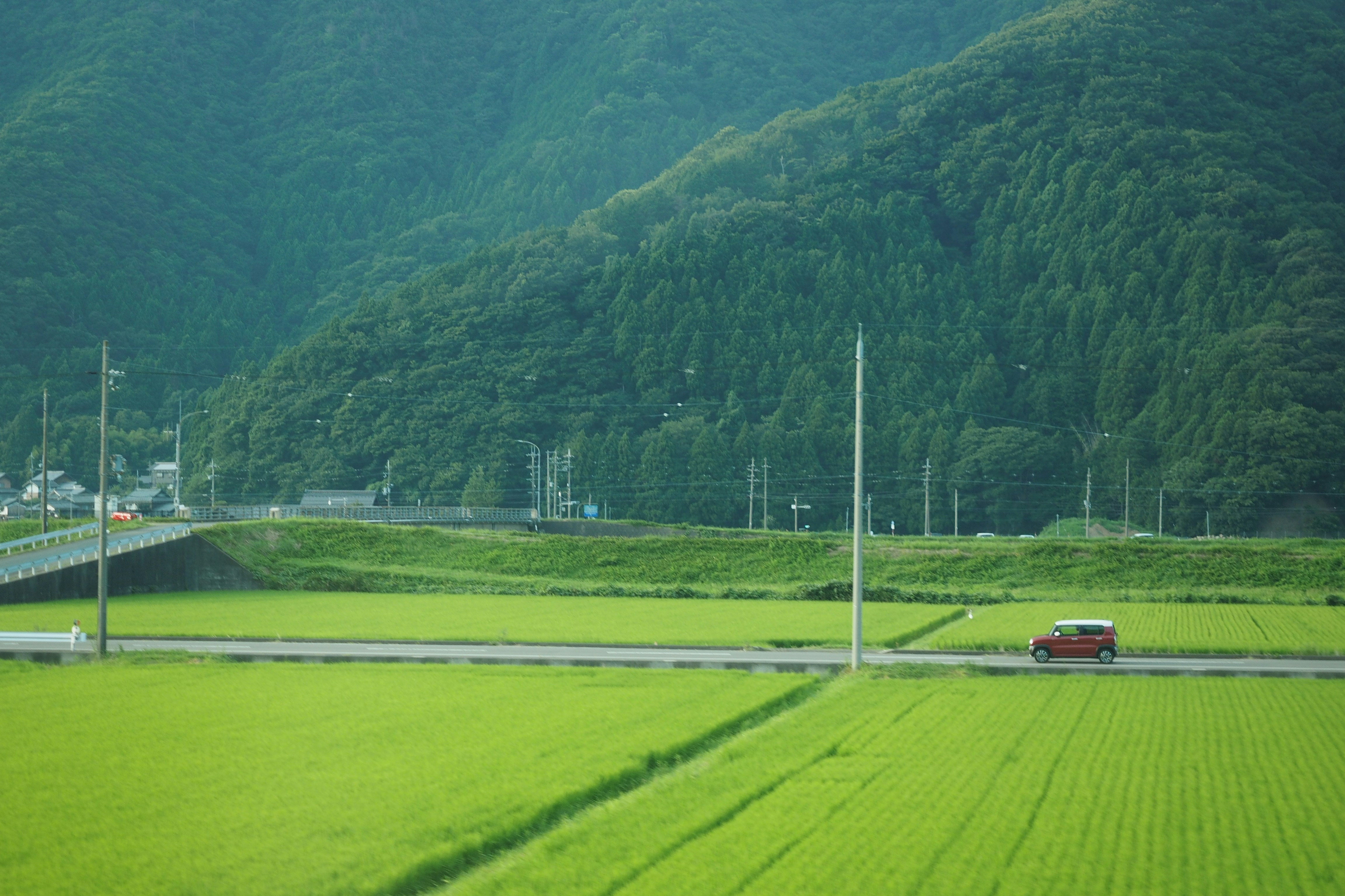 Navigating Public Transport in Japan’s Rural Regions: A First-Timer’s Guide