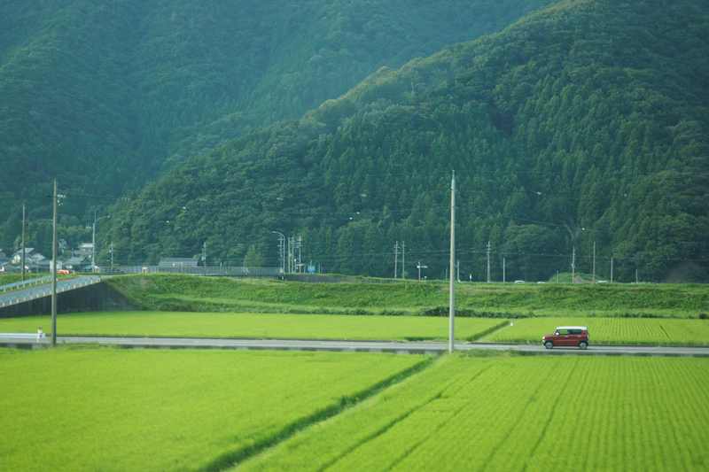 Tohoku Region: Japan's Beautiful North for Adventurous Travelers