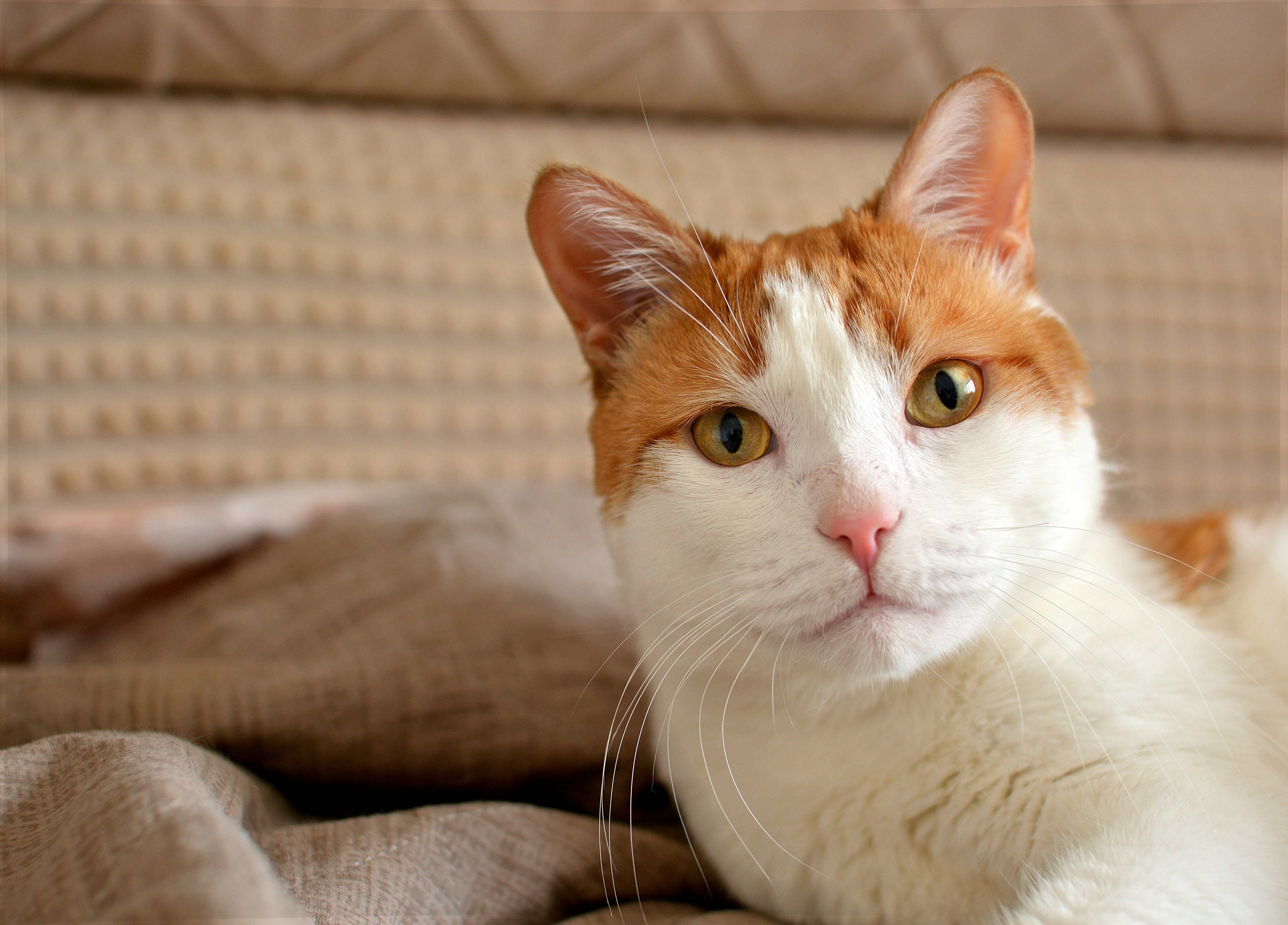 Photo by evgeshencia