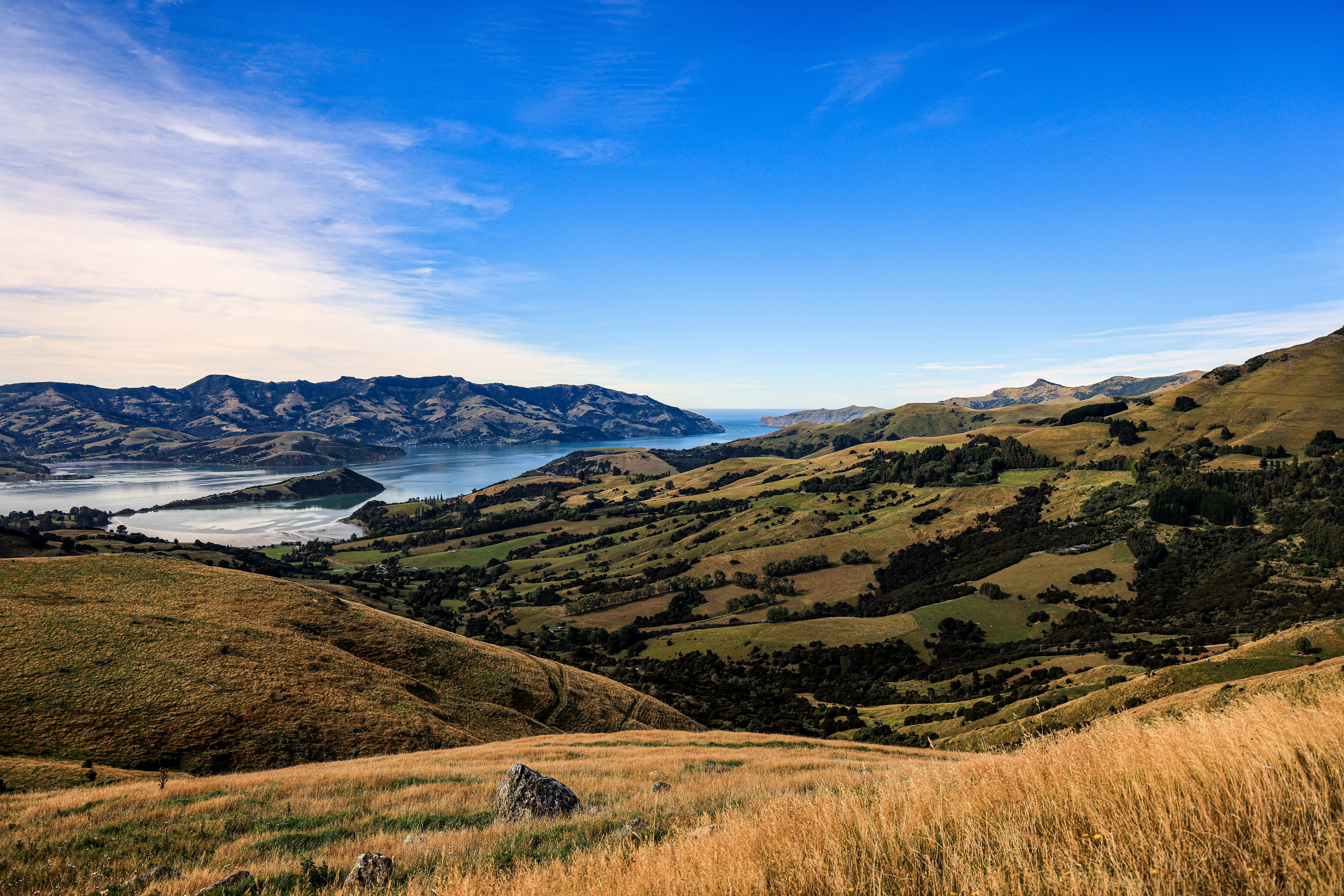 Photo by maximilian_brand