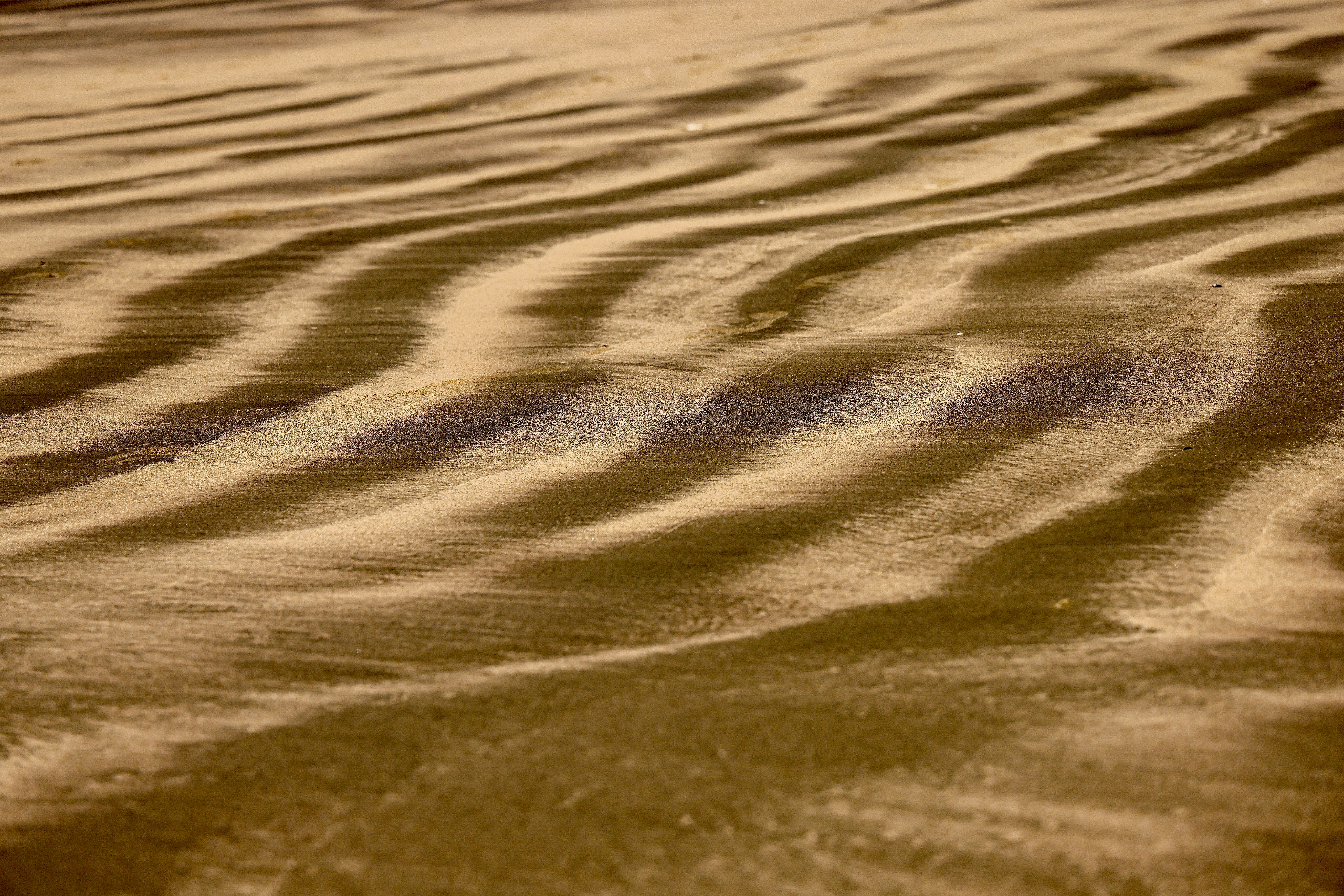 Photo by maximilian_brand