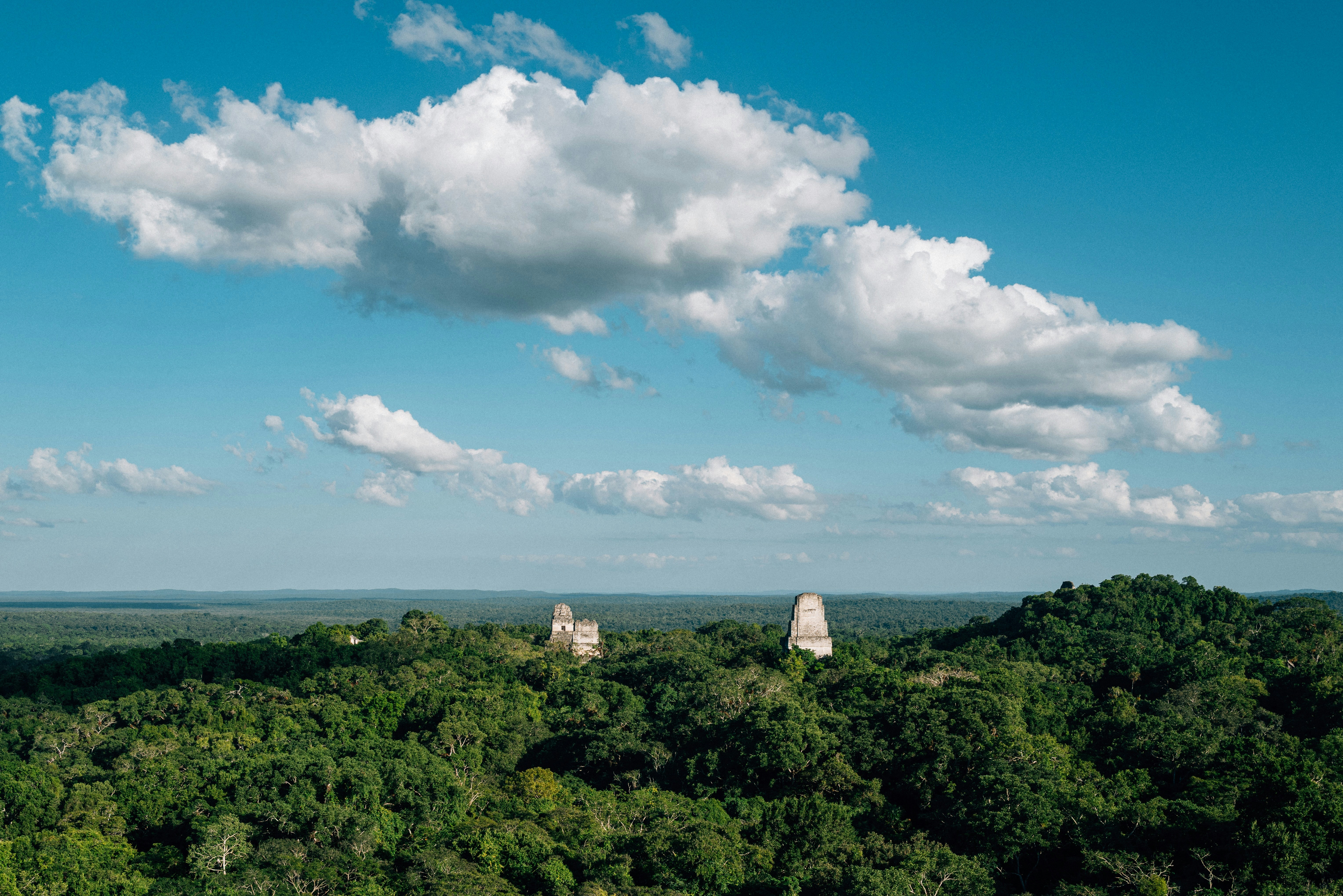 Ancient mayan pyramids rise above lush green jungle canopy